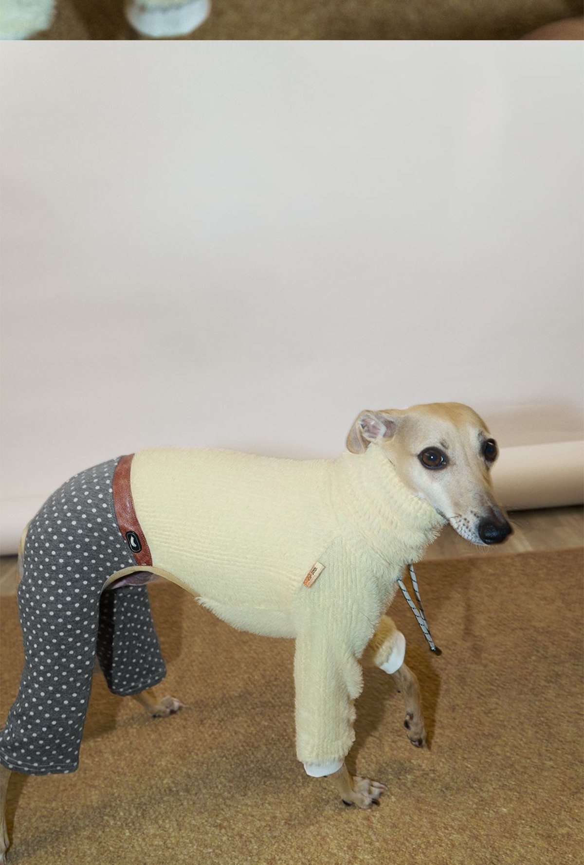 SnugHugs 意大利灵缇与惠比特犬专用仿水貂针织连体衣 8
