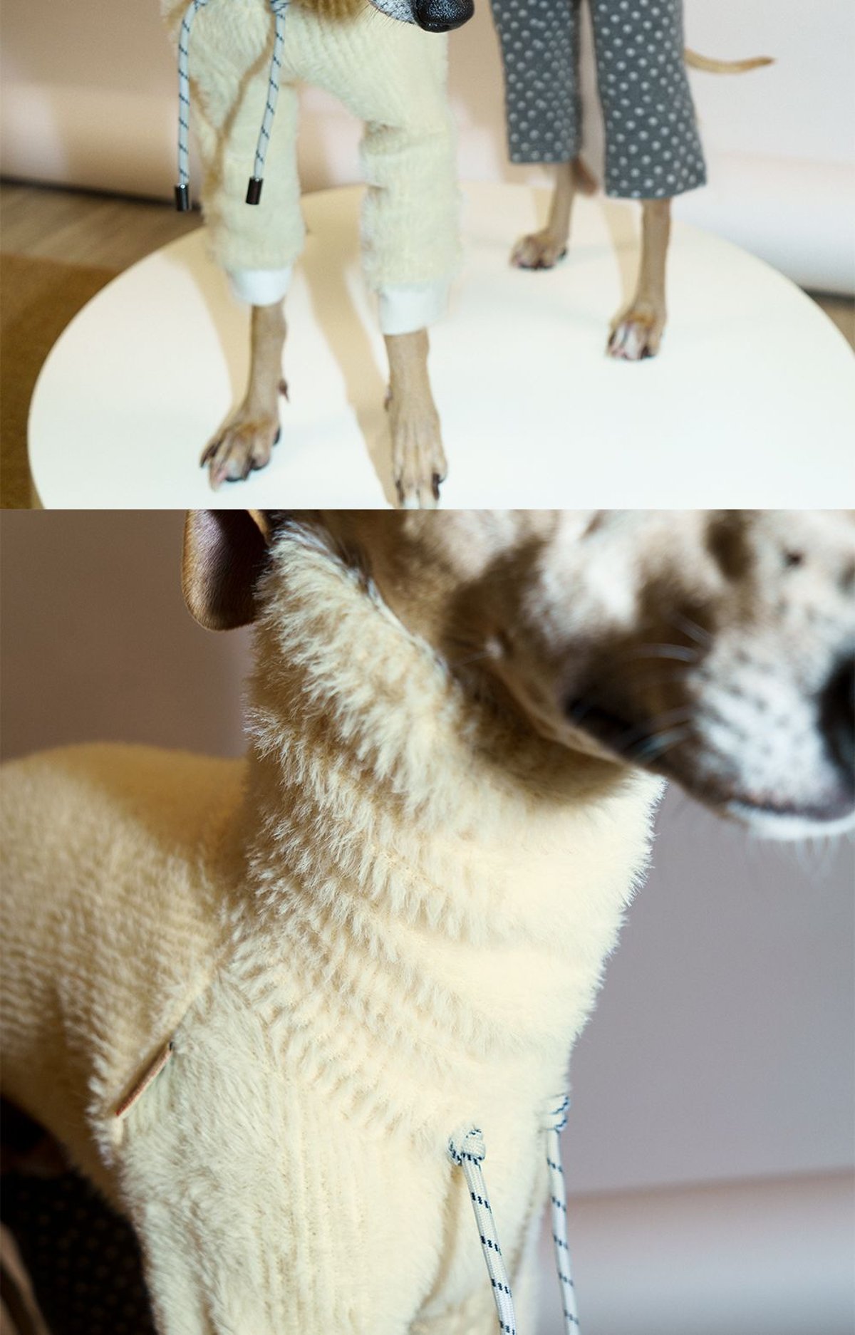 SnugHugs 意大利灵缇与惠比特犬专用仿水貂针织连体衣 5