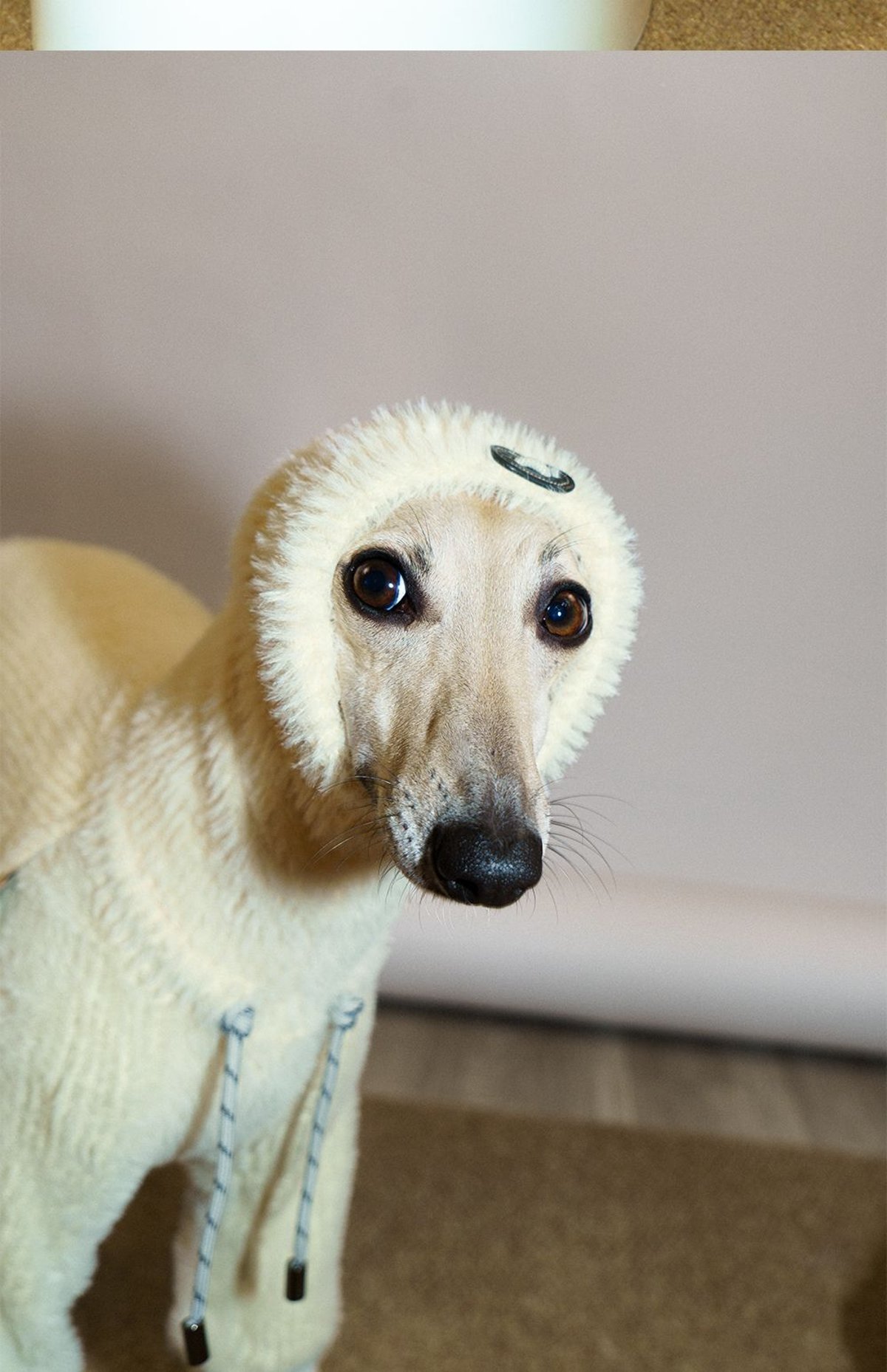 SnugHugs 意大利灵缇与惠比特犬专用仿水貂针织连体衣 7