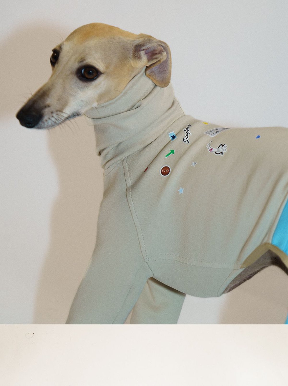 SnugHugs 意大利灵缇与惠比特犬专用空气层莫代尔连体衣 12