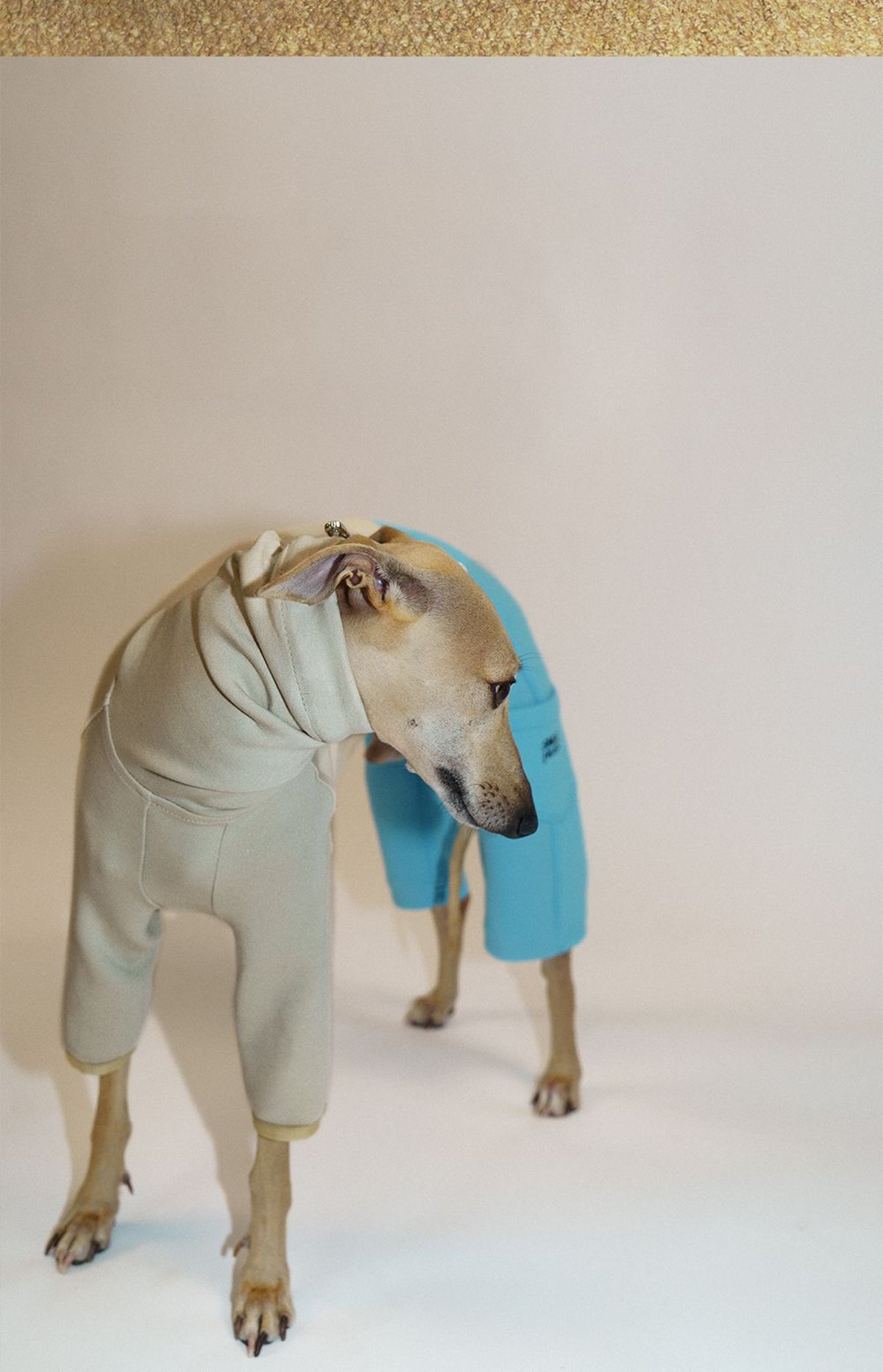SnugHugs 意大利灵缇与惠比特犬专用空气层莫代尔连体衣 9