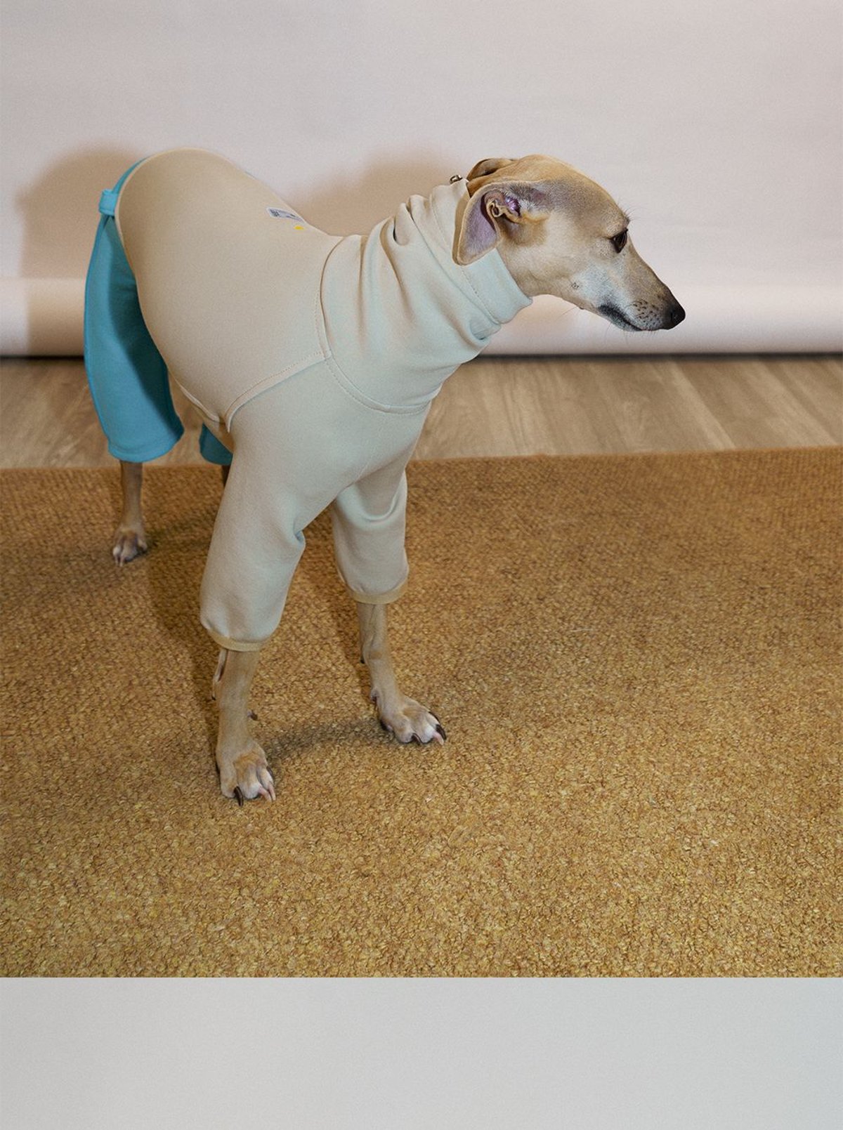 SnugHugs 意大利灵缇与惠比特犬专用空气层莫代尔连体衣 11