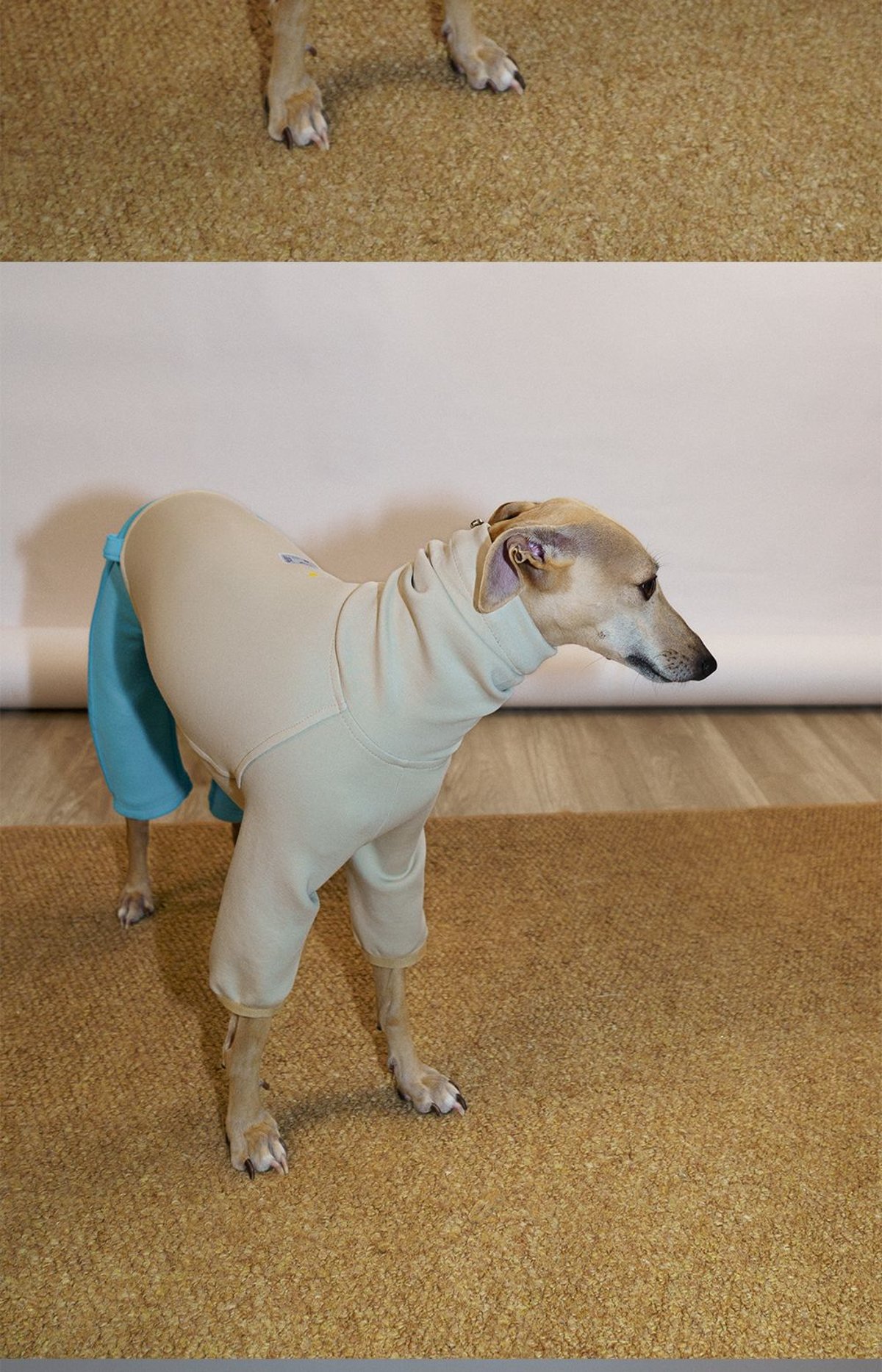 SnugHugs 意大利灵缇与惠比特犬专用空气层莫代尔连体衣 5
