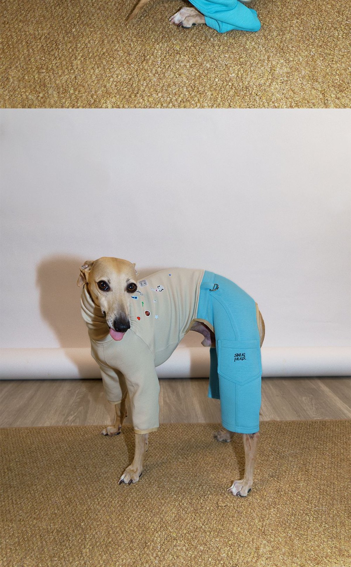 SnugHugs 意大利灵缇与惠比特犬专用空气层莫代尔连体衣 8