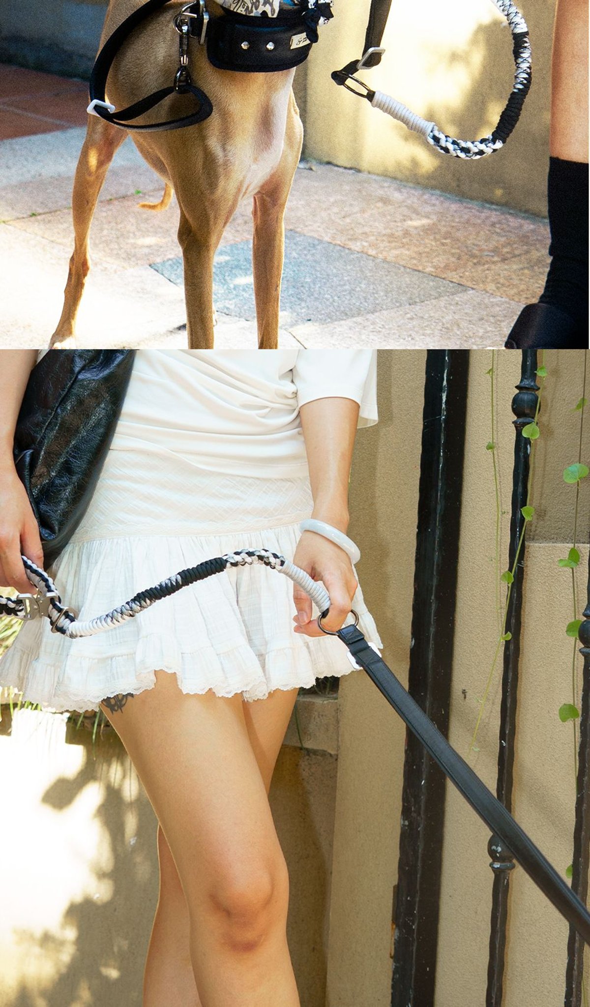 SnugHugs SnugHugs | Black & White Woven Leash 4