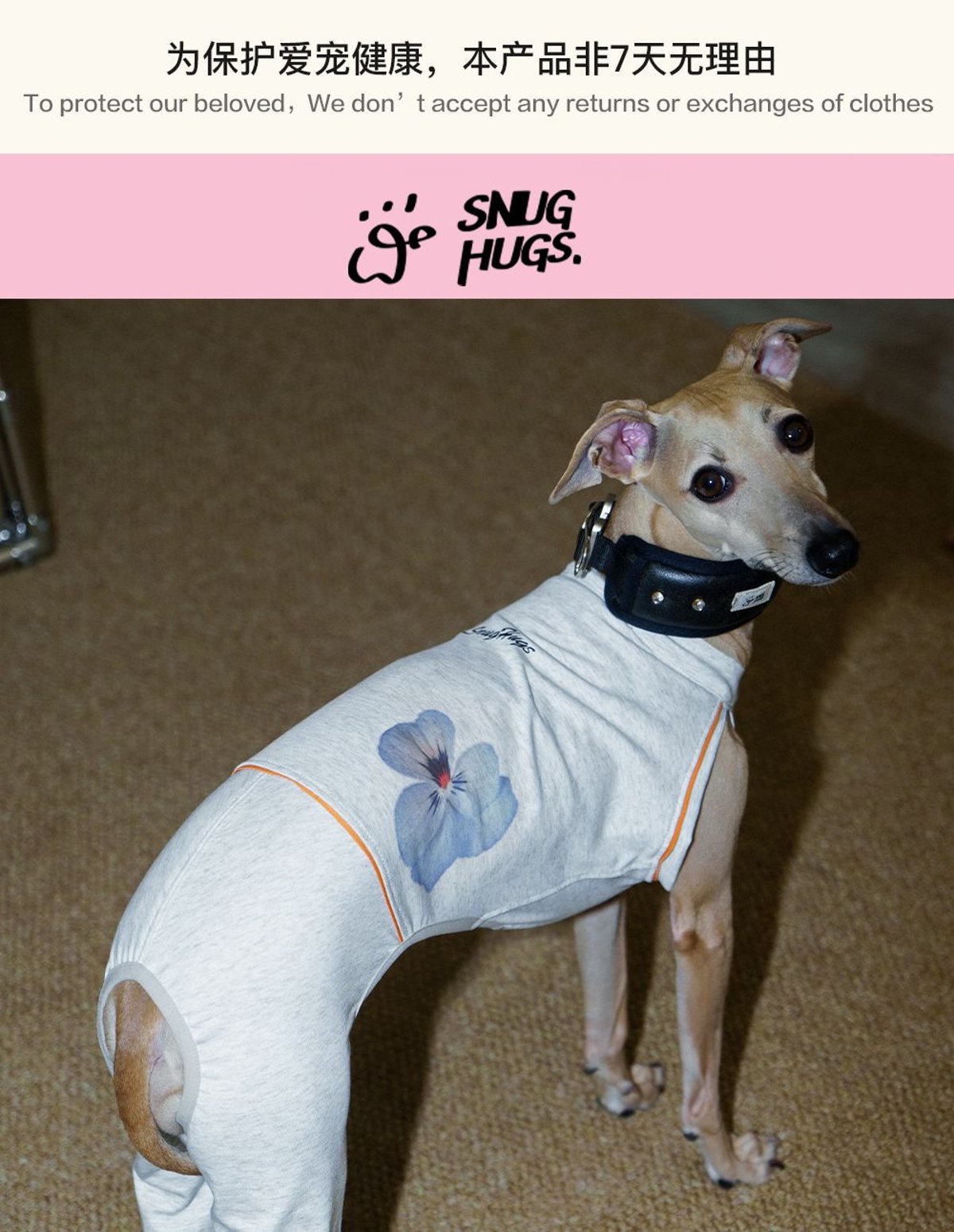 SnugHugs Coolmax® Dog Bodysuit with Flared Pants for Italian Greyhounds & Whippets 1