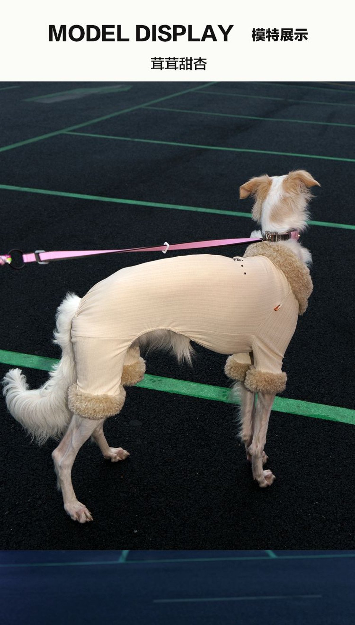 SnugHugs Winter Plush Dog Jumpsuit with Detachable Faux Fur Collar 8