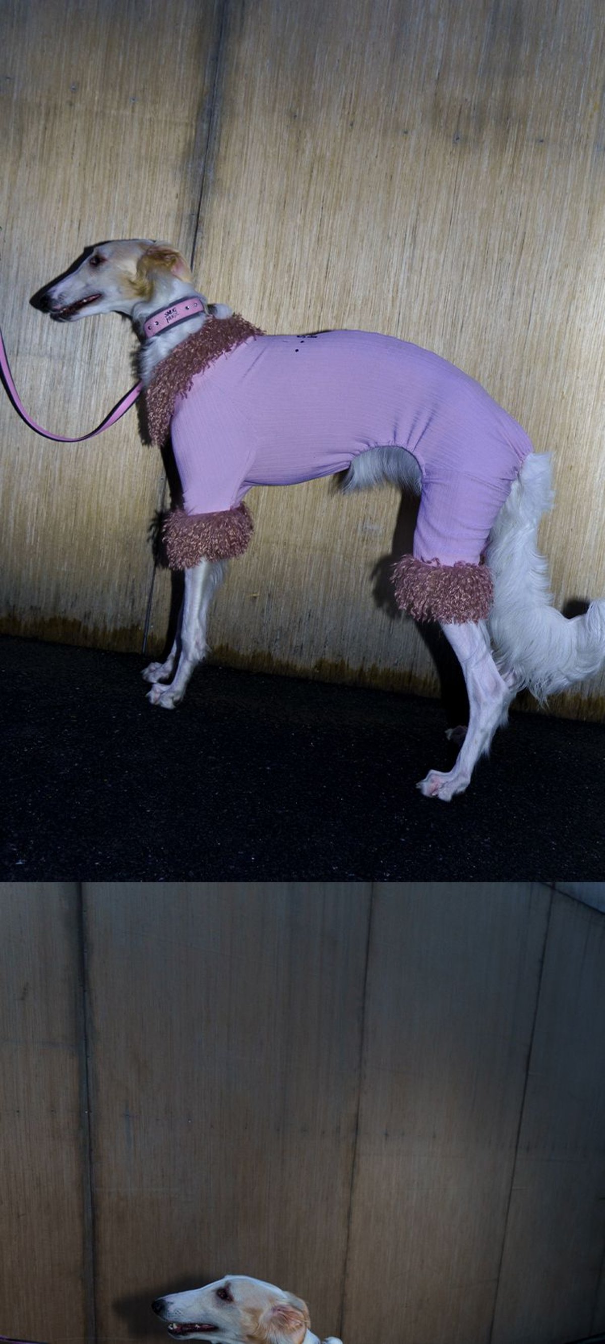 SnugHugs Winter Plush Dog Jumpsuit with Detachable Faux Fur Collar 17