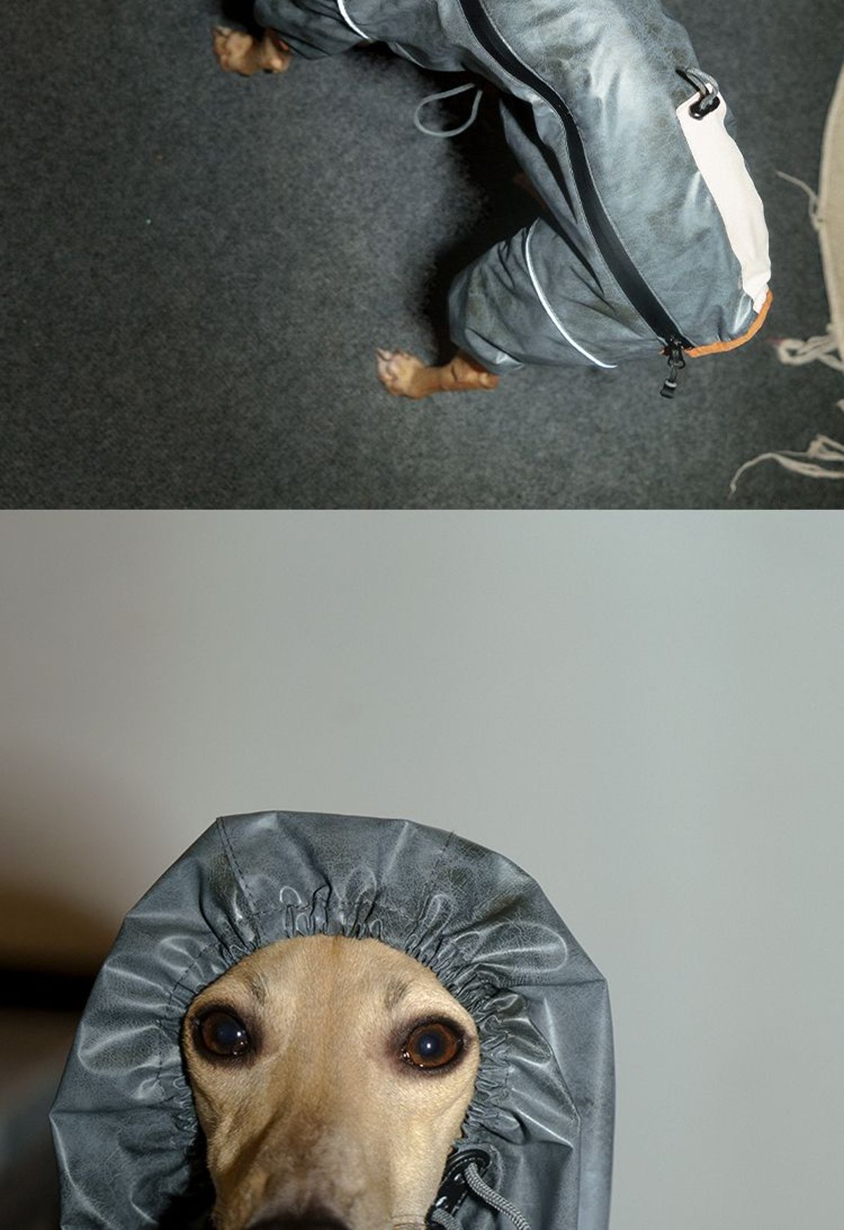 SnugHugs SnugHugs | Lightweight Outdoor Windbreaker & Raincoat 16