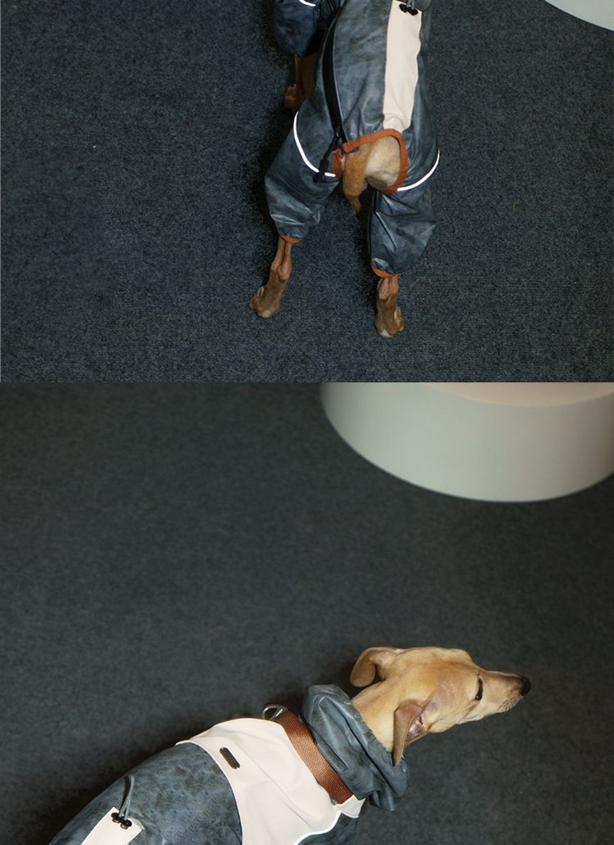 SnugHugs SnugHugs | Lightweight Outdoor Windbreaker & Raincoat 3