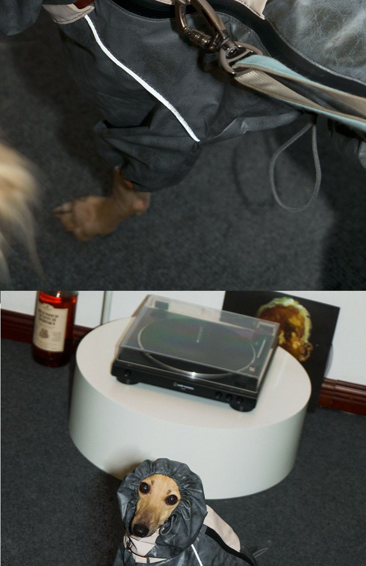 SnugHugs SnugHugs | Lightweight Outdoor Windbreaker & Raincoat 12