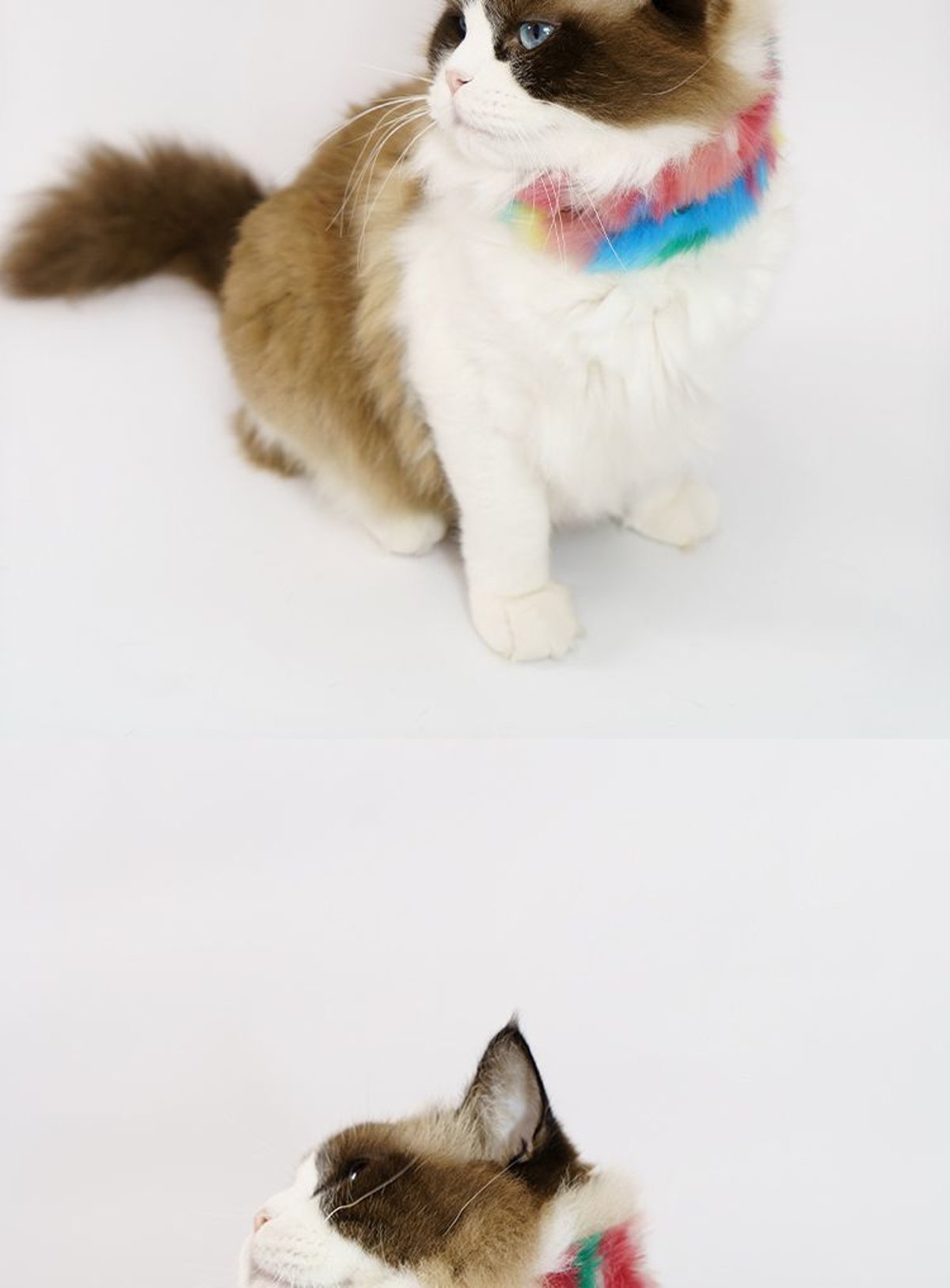 SnugHugs SnugHugs | Plush Scarf Collar 19
