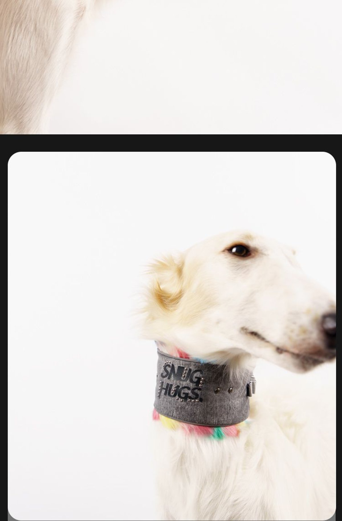 SnugHugs SnugHugs | Plush Scarf Collar 3