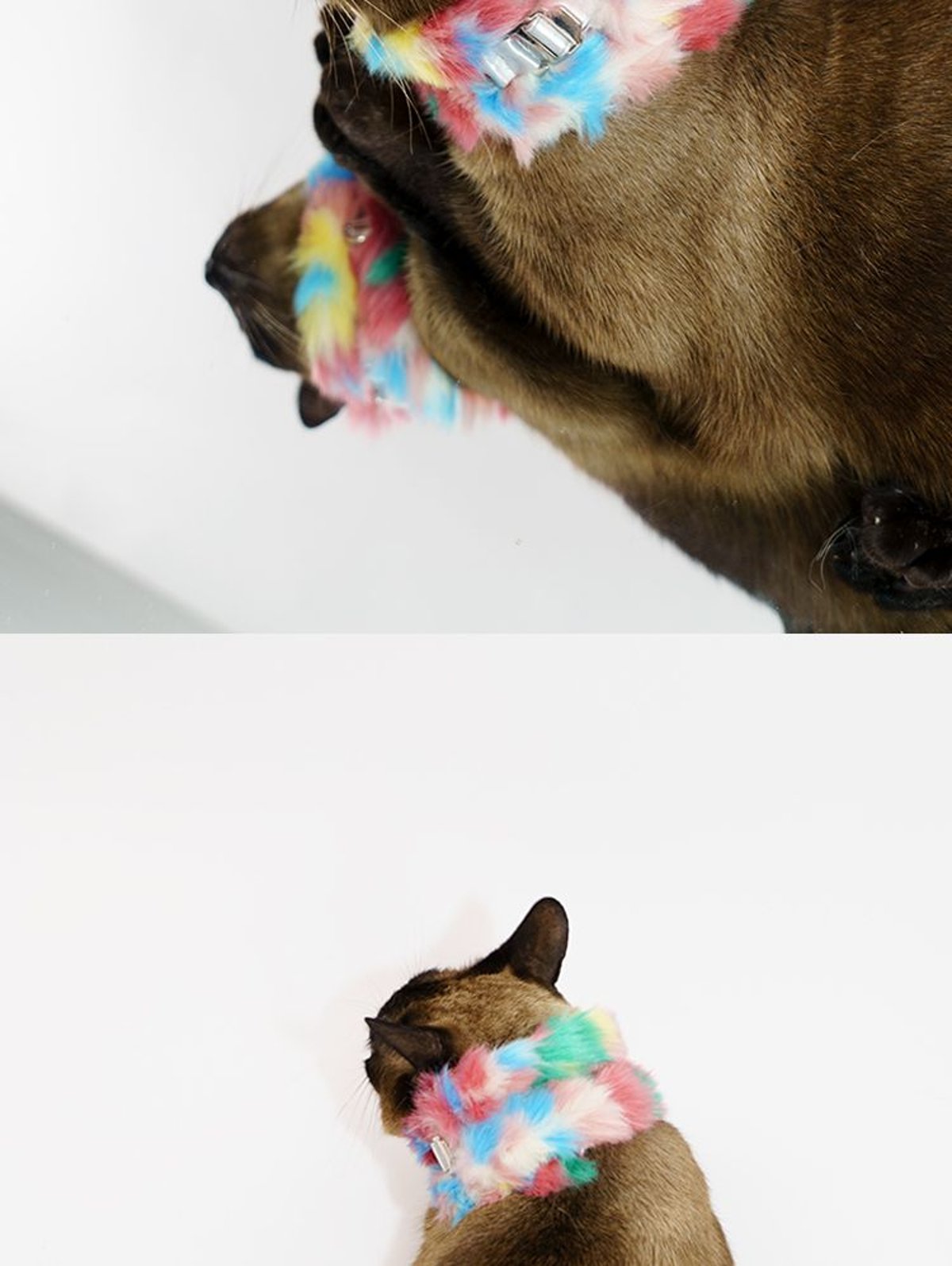 SnugHugs SnugHugs | Plush Scarf Collar 17
