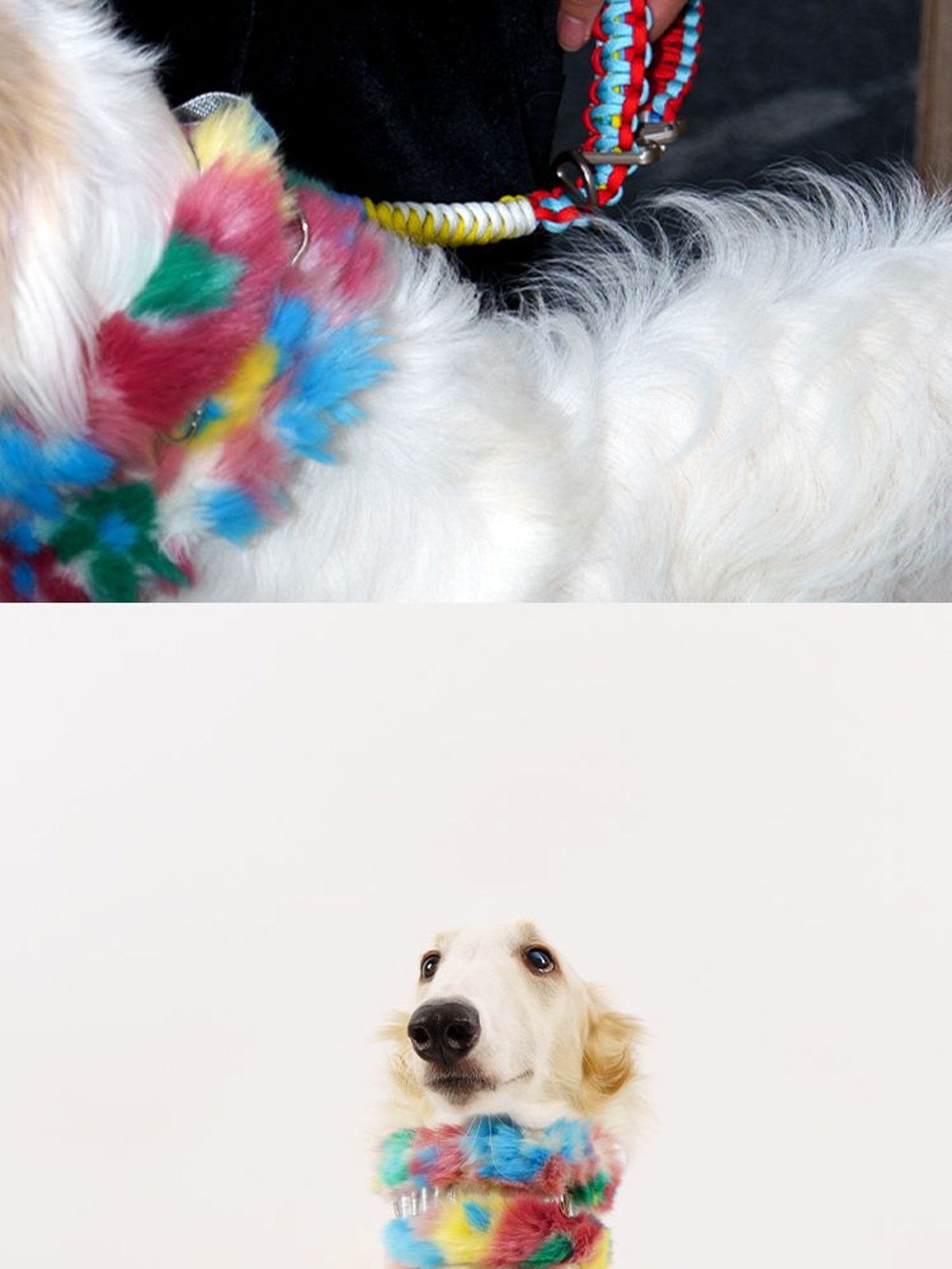 SnugHugs SnugHugs | Plush Scarf Collar 14