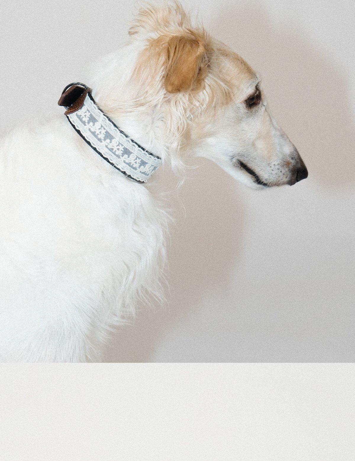 SnugHugs Lace Polka Collar 10