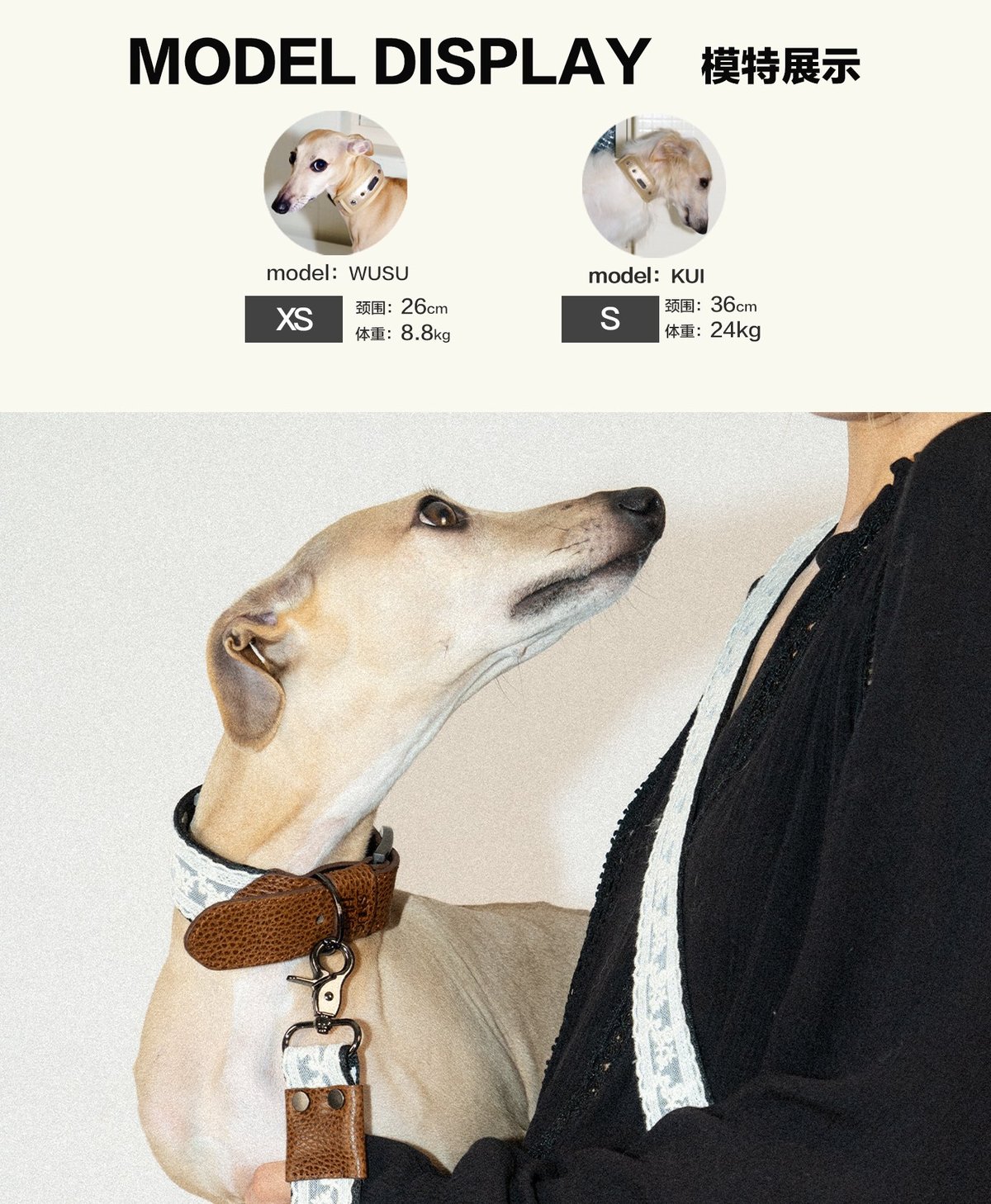 SnugHugs Lace Polka Collar 6