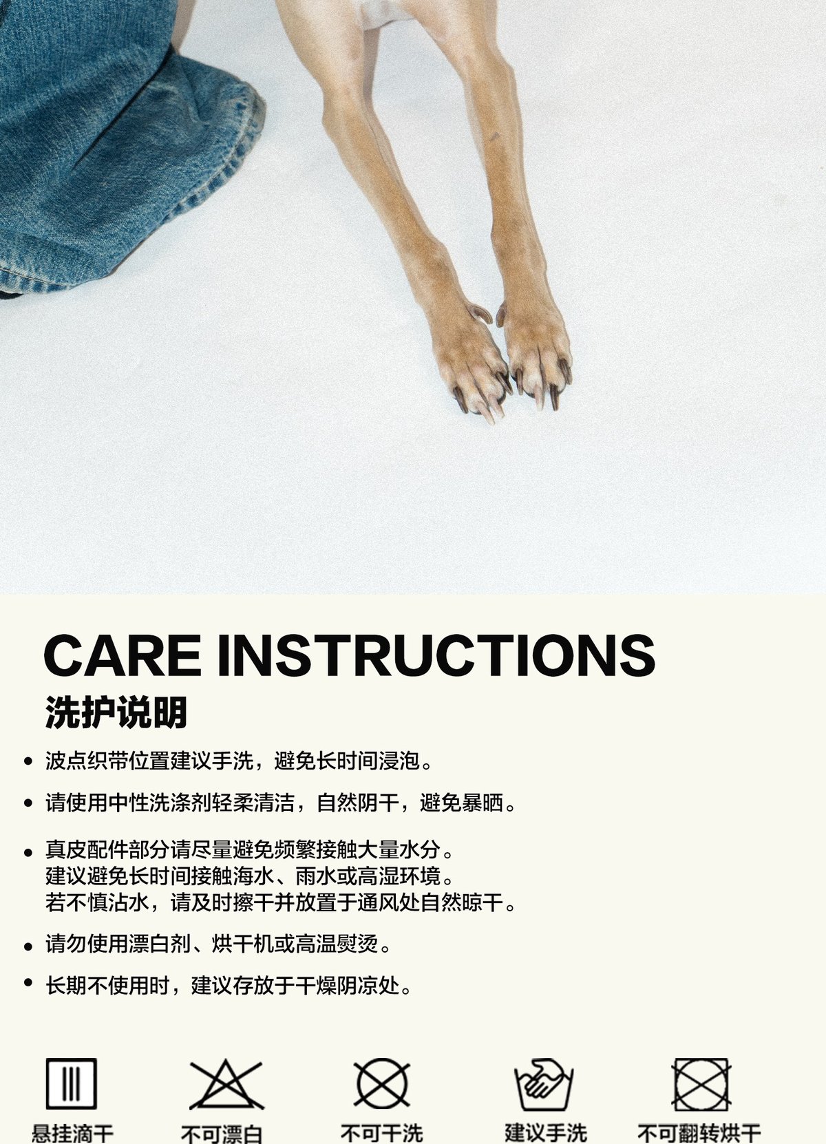 SnugHugs Lace Polka Collar 16