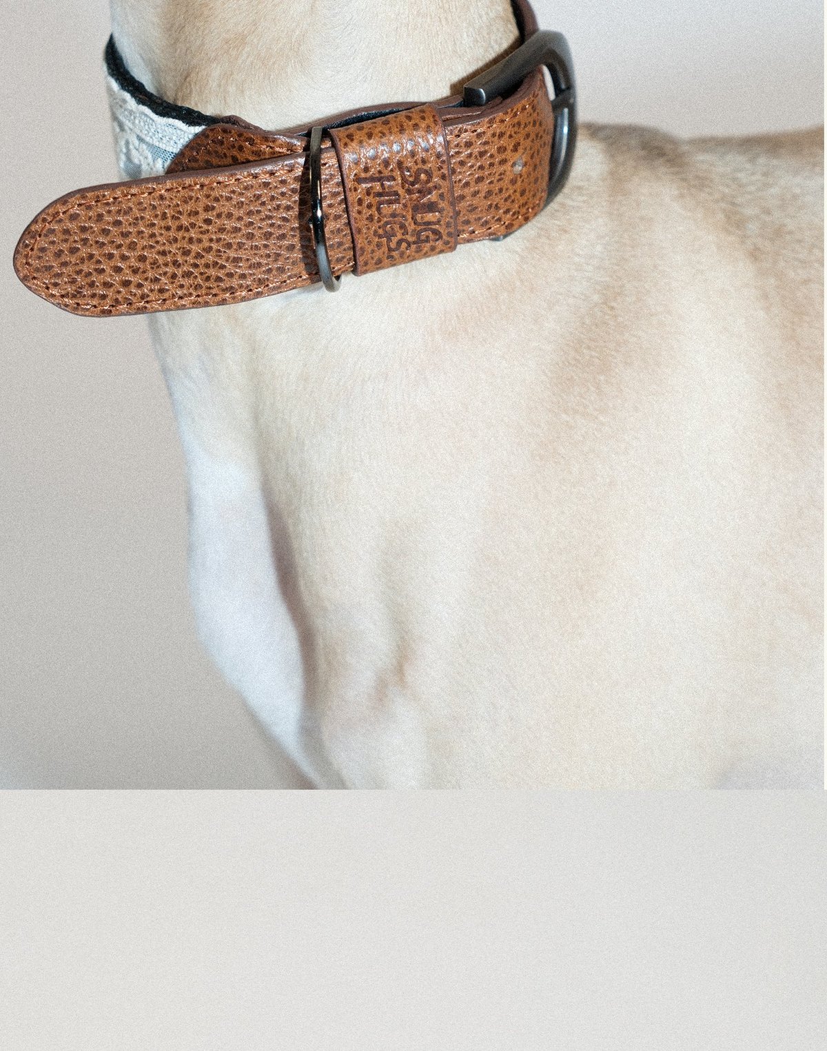 SnugHugs Lace Polka Collar 8