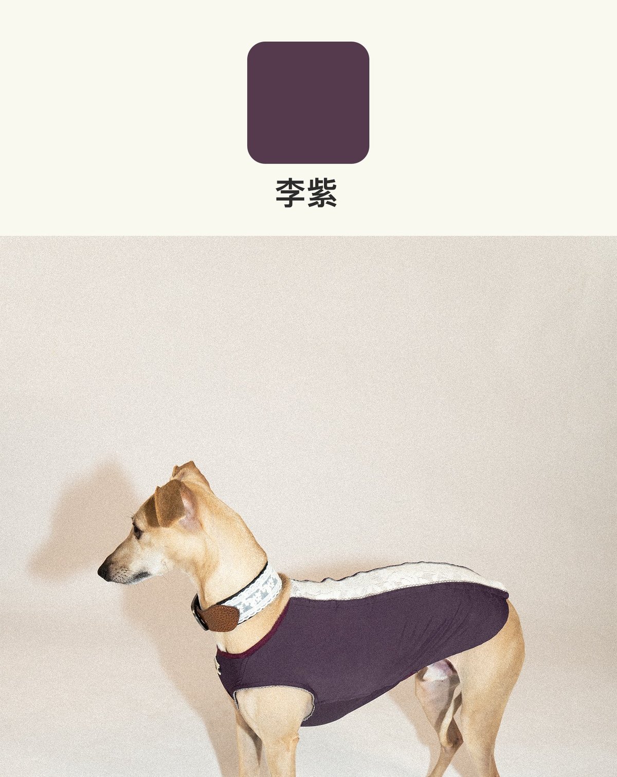 SnugHugs Lace Air Vest 10
