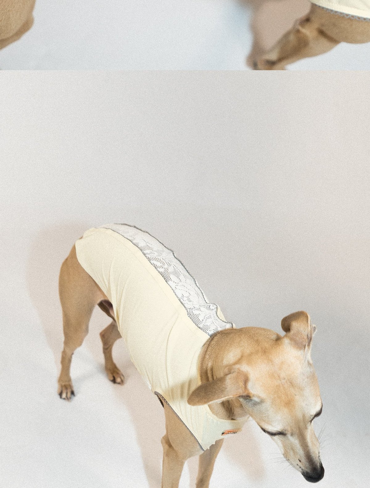 SnugHugs Lace Air Vest 8