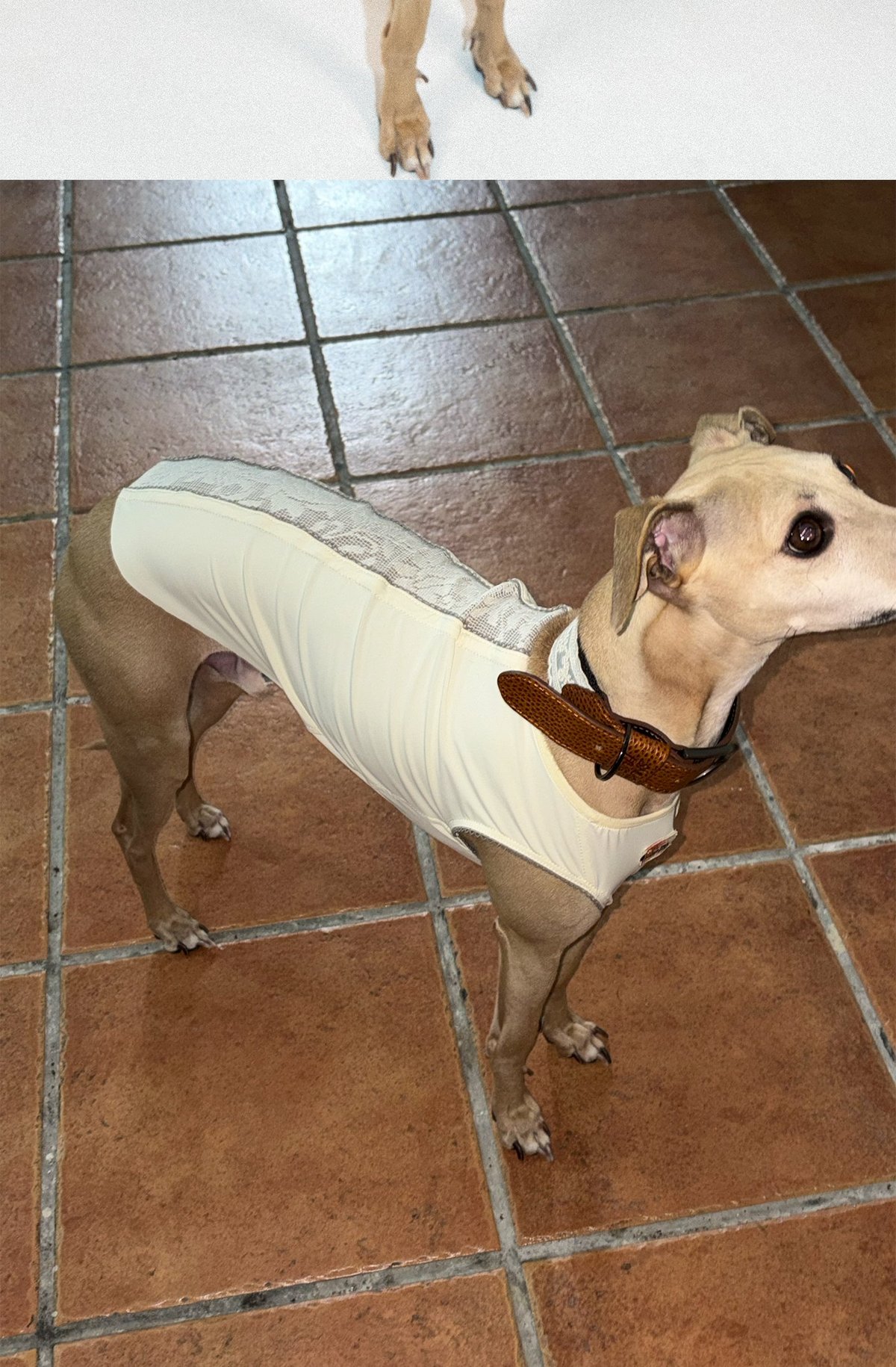 SnugHugs Lace Air Vest 9