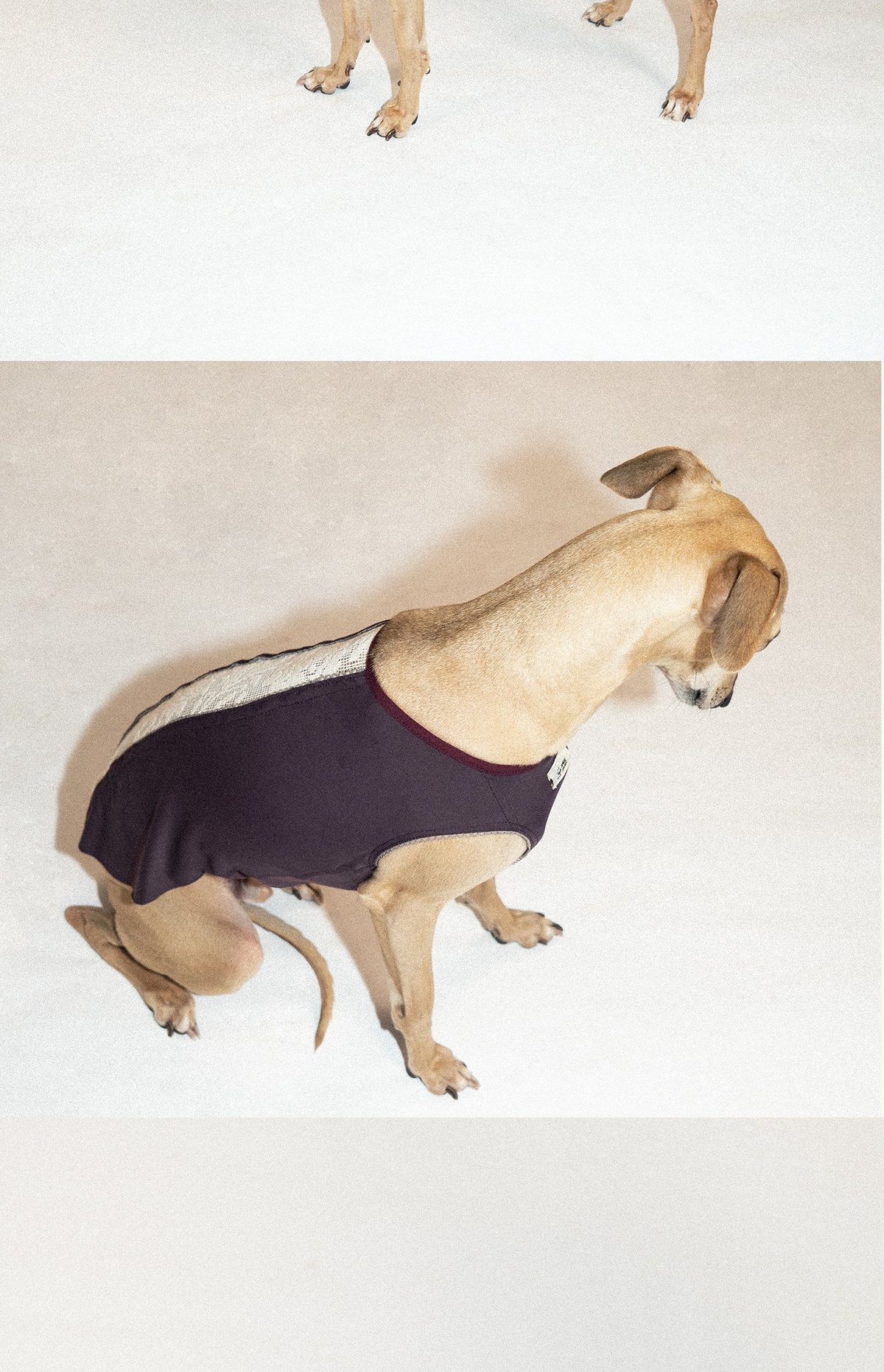 SnugHugs Lace Air Vest 11