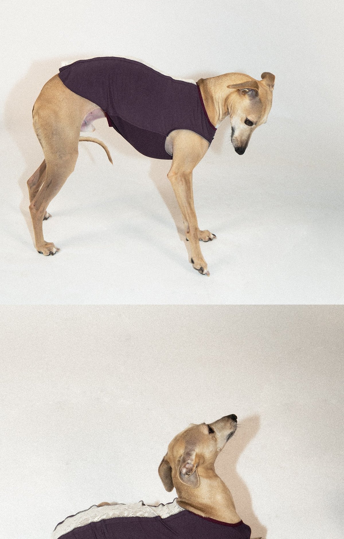 SnugHugs Lace Air Vest 12