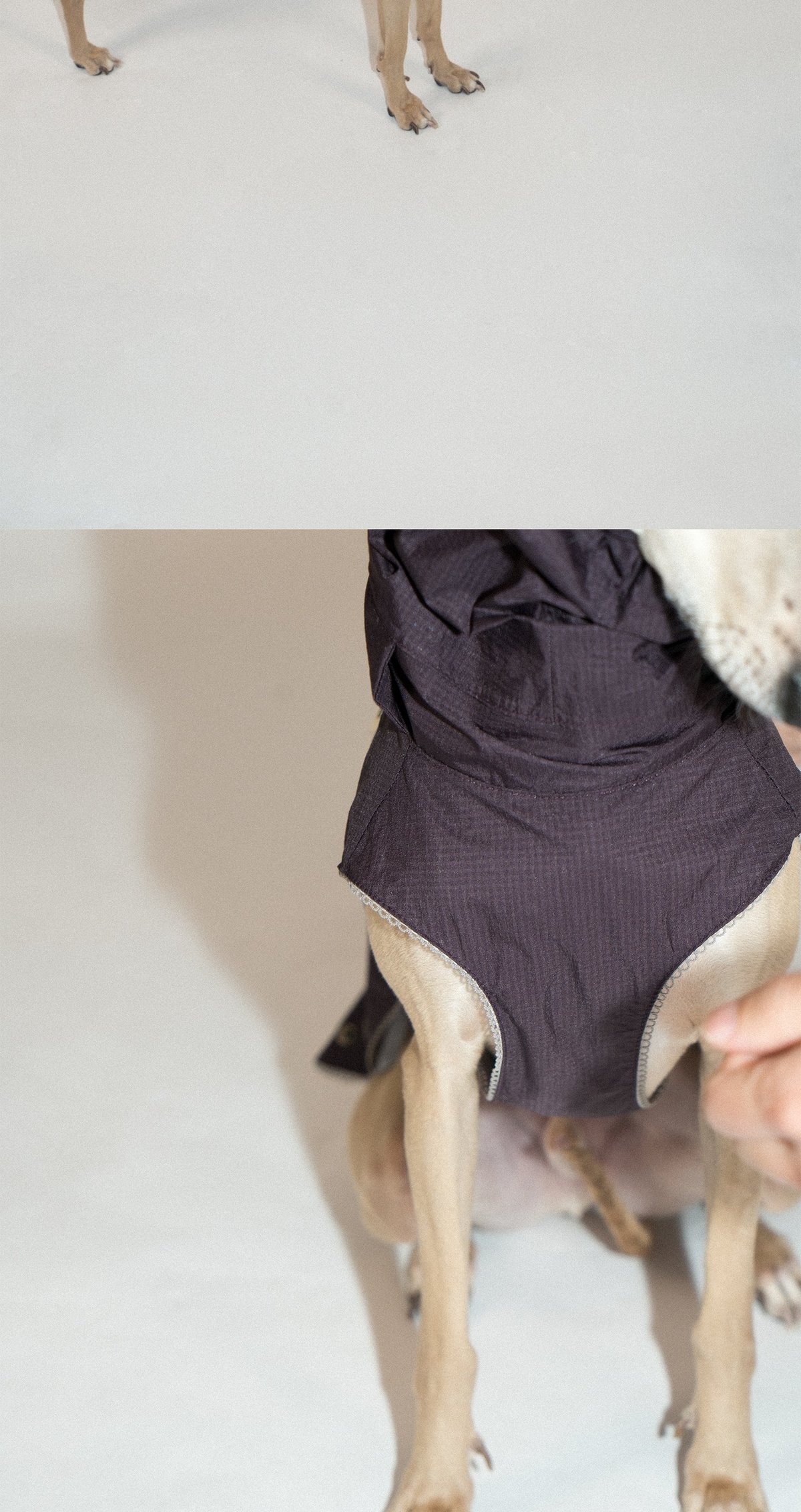 SnugHugs Airy Jacket (Collar Not Included) 15