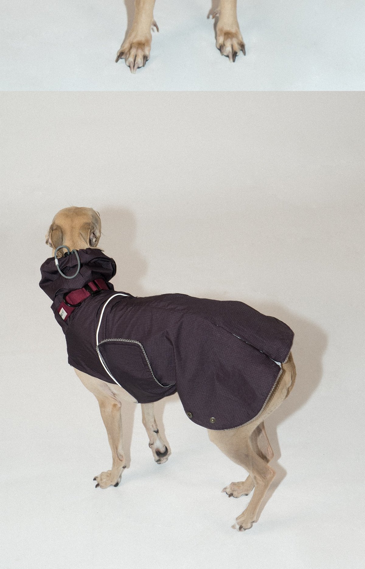 SnugHugs Airy Jacket (Collar Not Included) 12