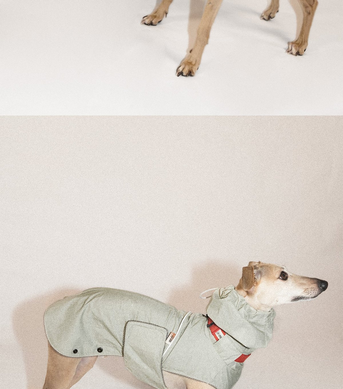 SnugHugs Airy Jacket (Collar Not Included) 8