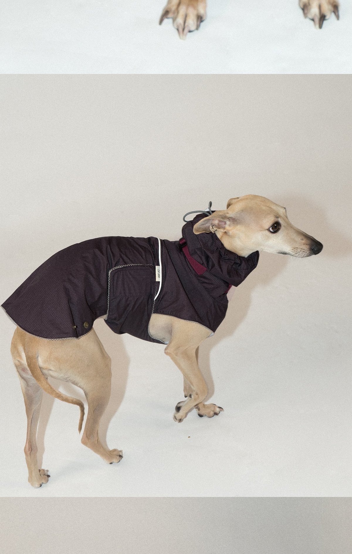 SnugHugs Airy Jacket (Collar Not Included) 16