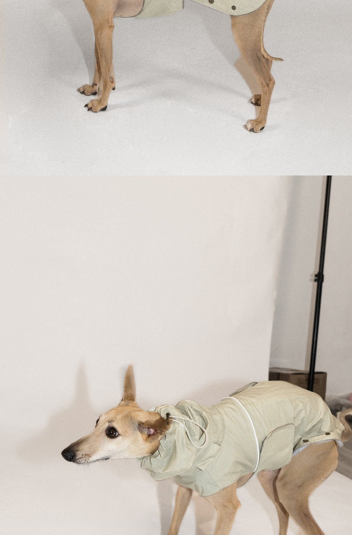 SnugHugs Airy Jacket (Collar Not Included) 7