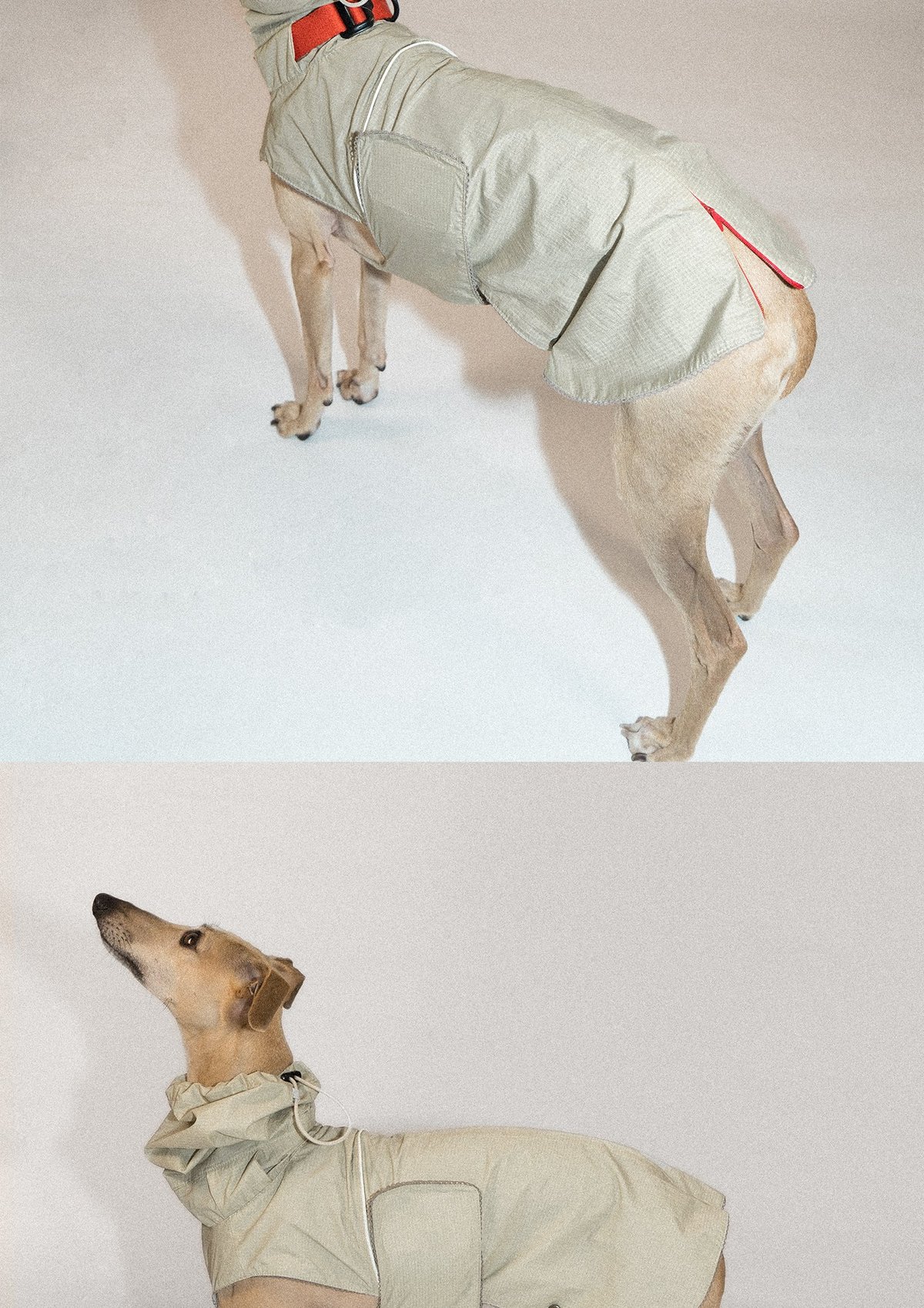SnugHugs Airy Jacket (Collar Not Included) 6