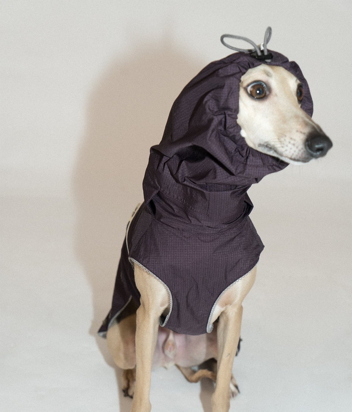 SnugHugs Airy Jacket (Collar Not Included) 11