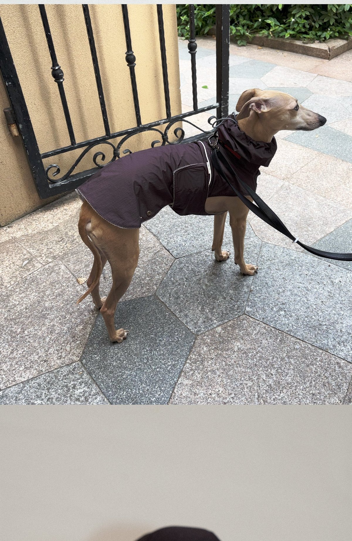SnugHugs Airy Jacket (Collar Not Included) 13