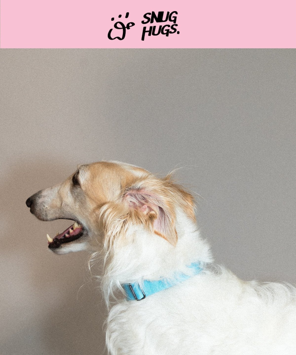 SnugHugs Palette Collar 1