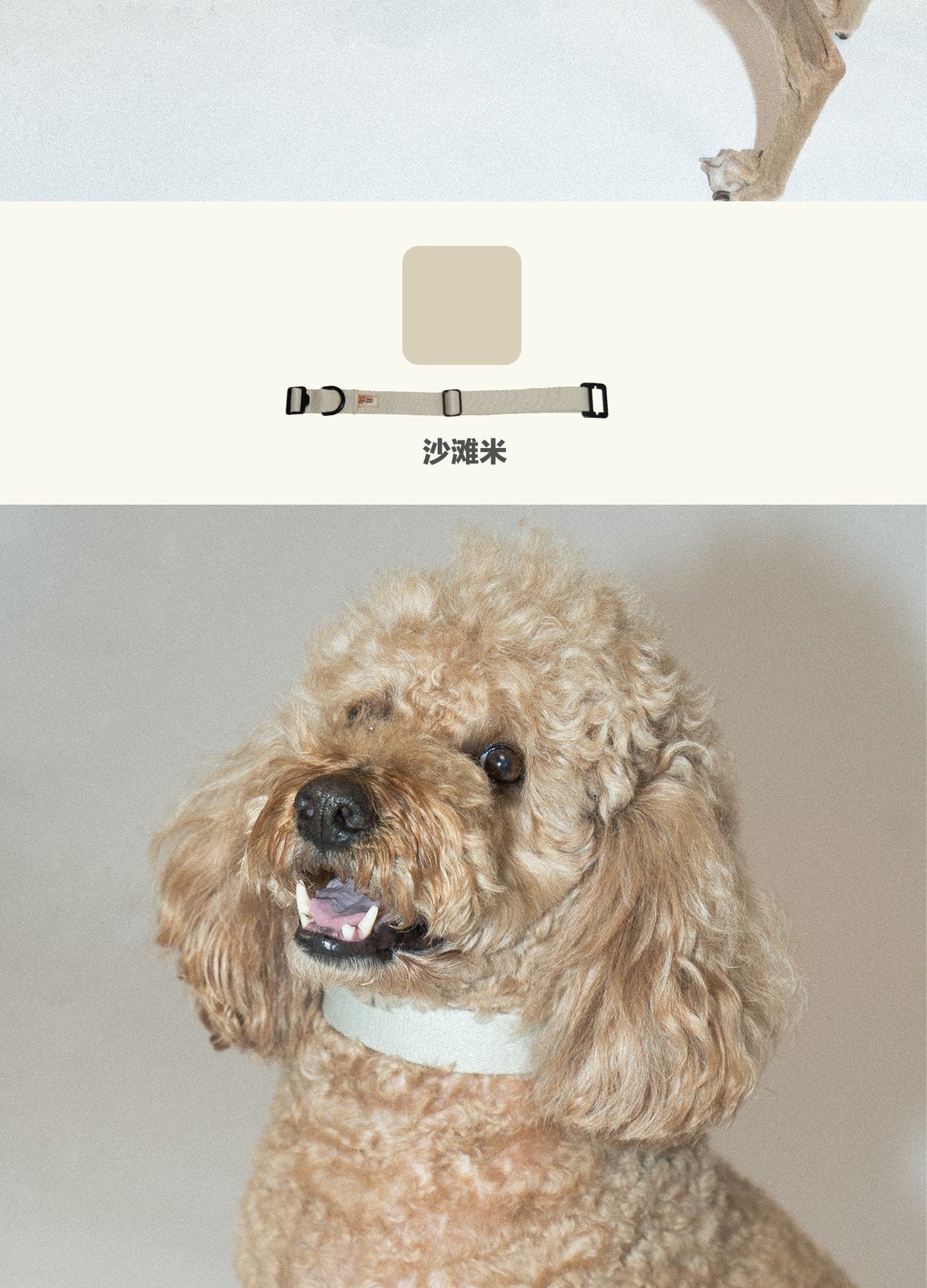 SnugHugs Palette Collar 15