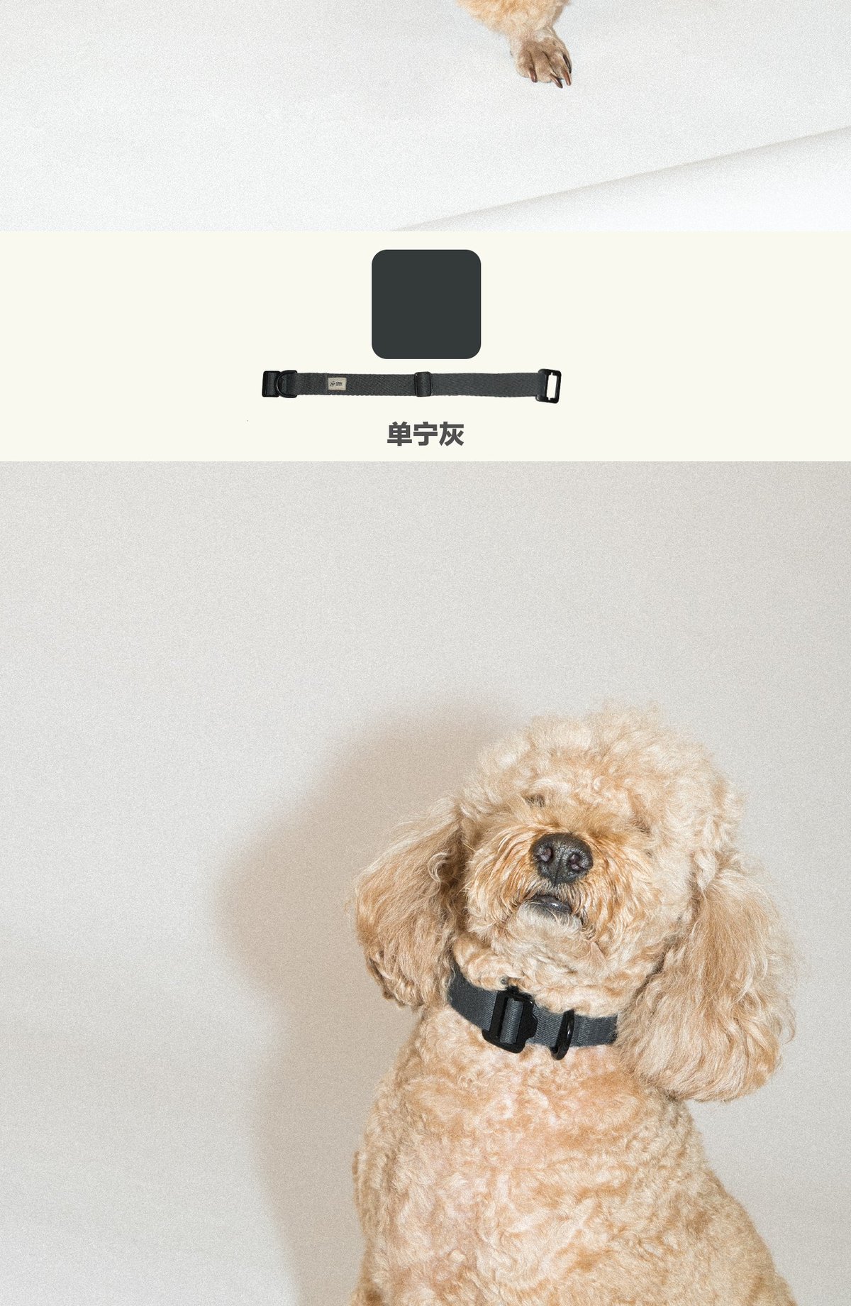 SnugHugs Palette Collar 24