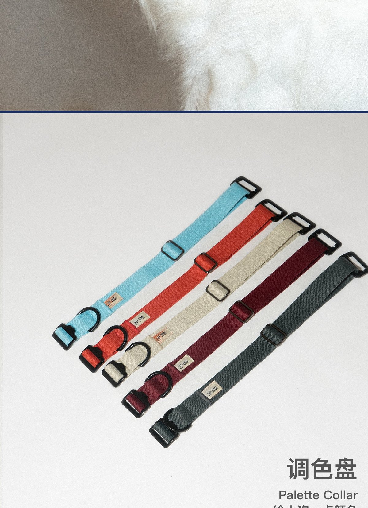 SnugHugs Palette Collar 2