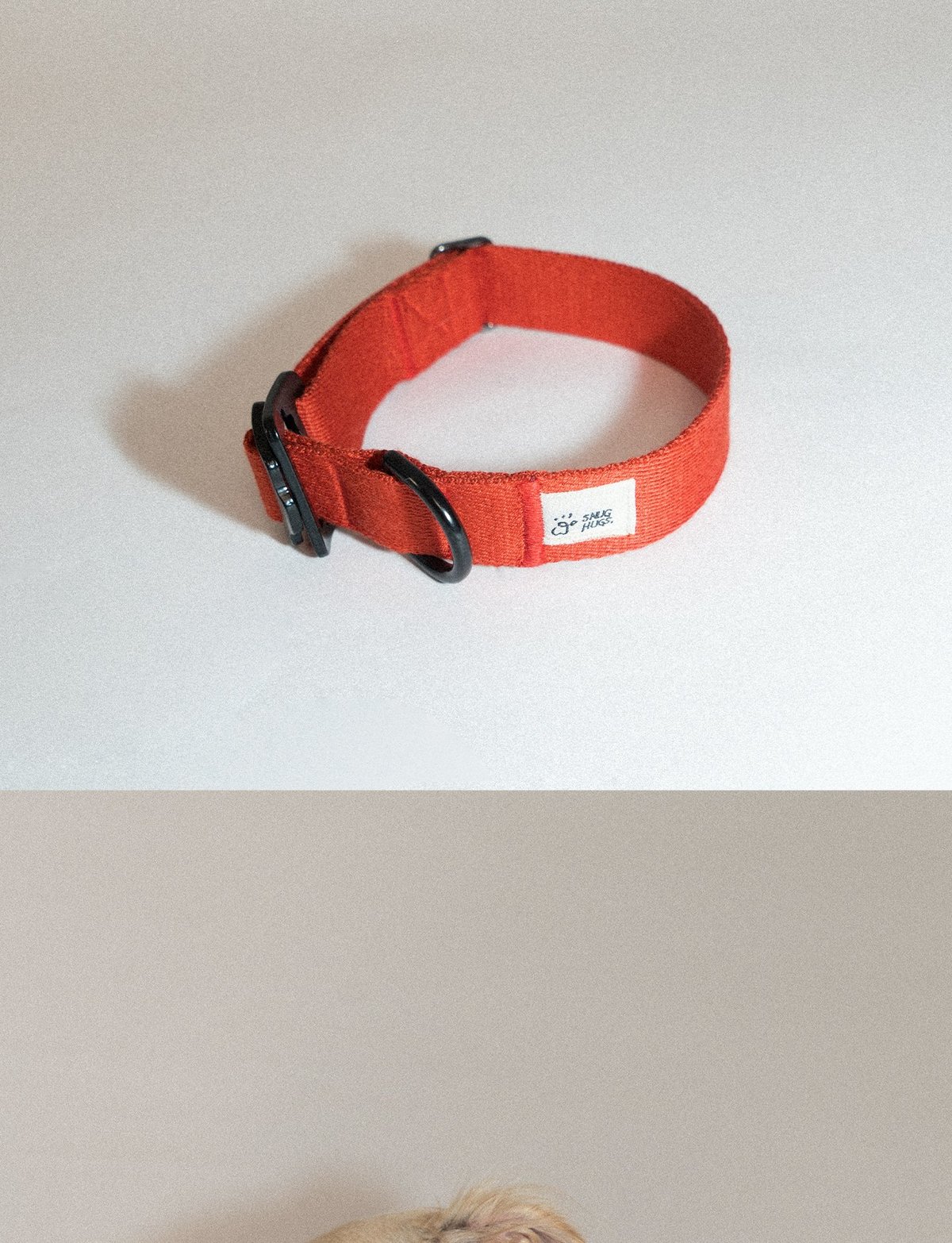 SnugHugs Palette Collar 12