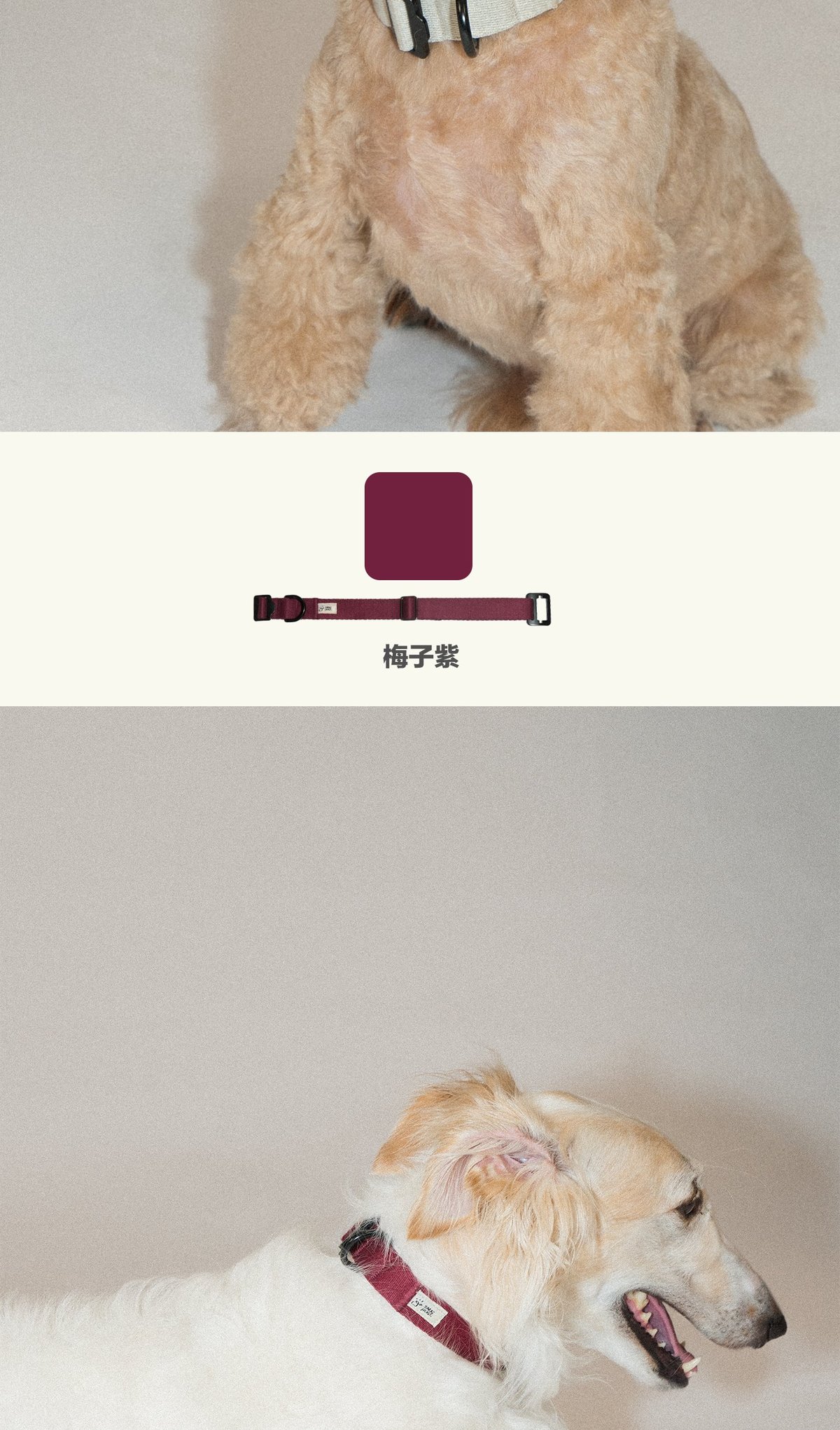 SnugHugs Palette Collar 19