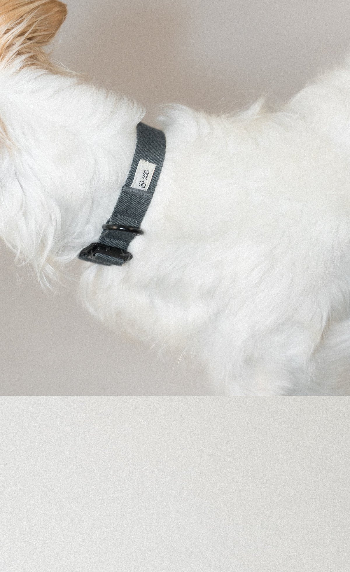 SnugHugs Palette Collar 26