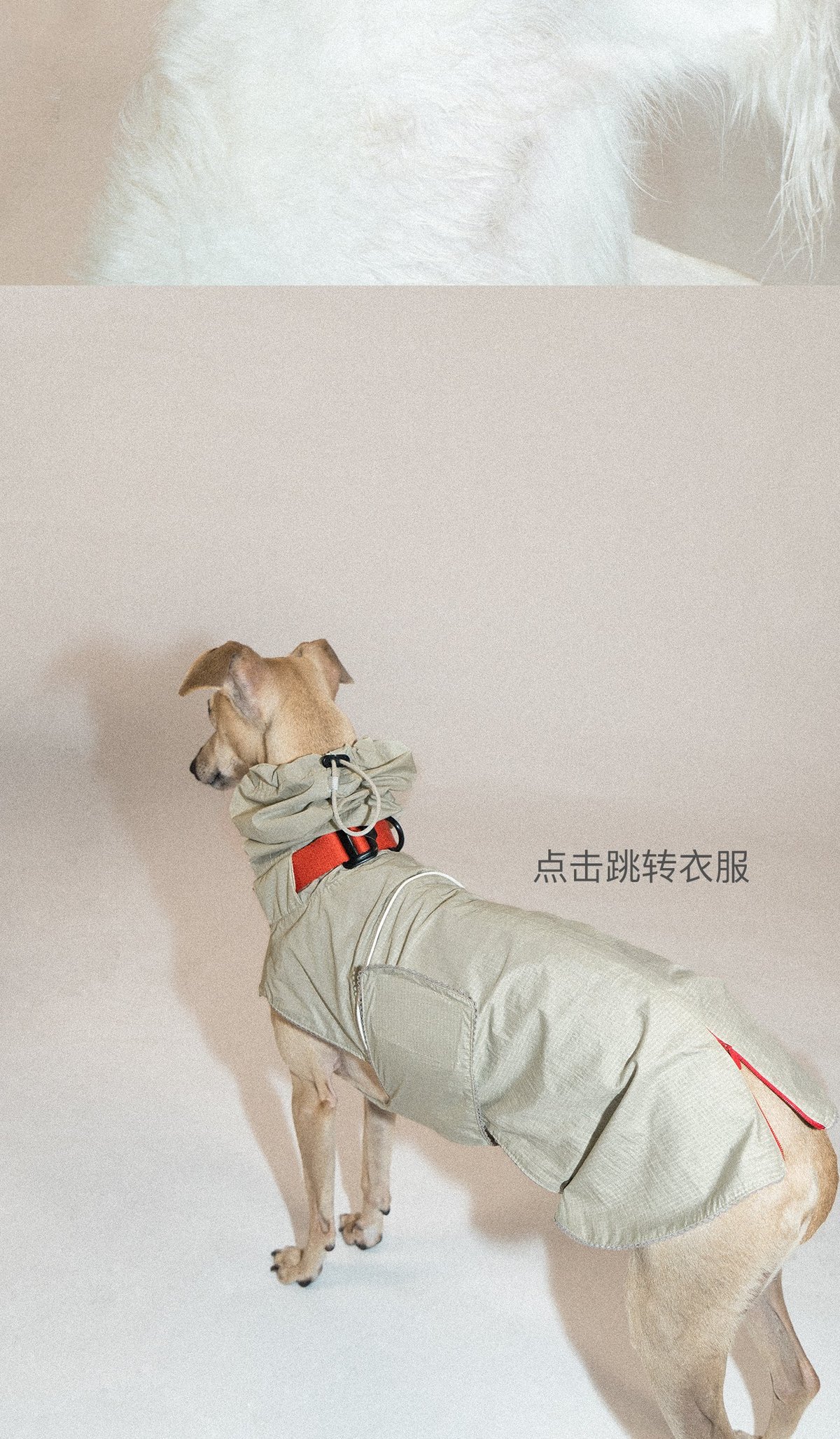 SnugHugs Palette Collar 14