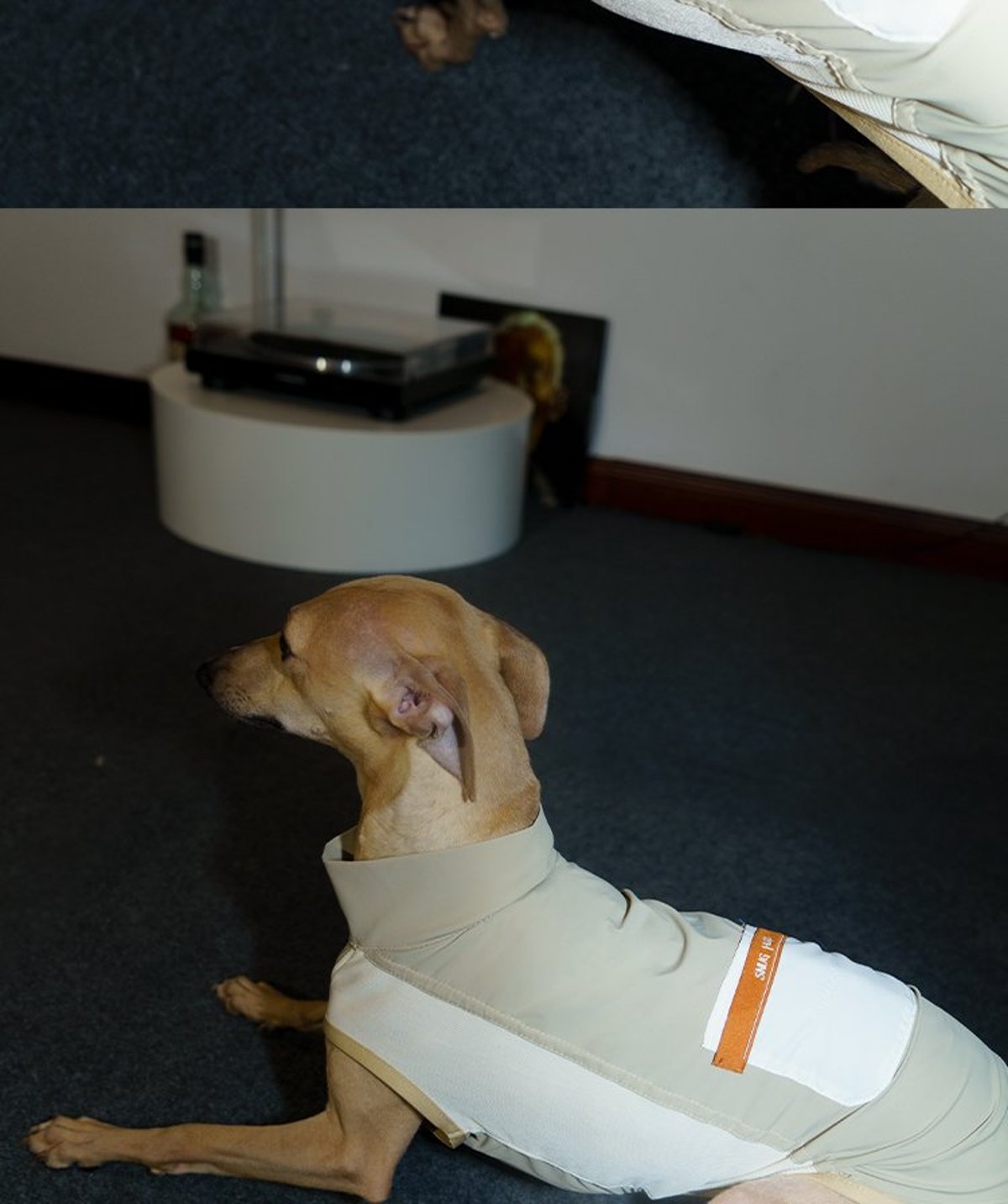 SnugHugs Stay Cool Vest 30