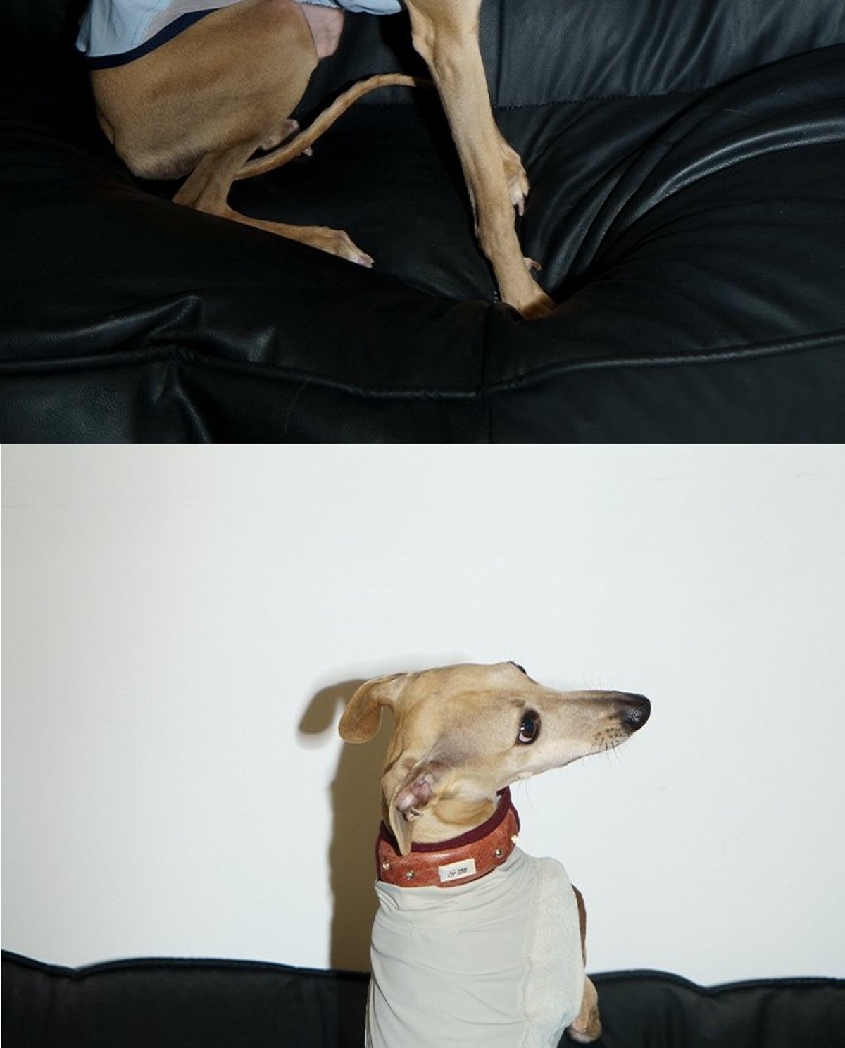 SnugHugs Stay Cool Vest 2
