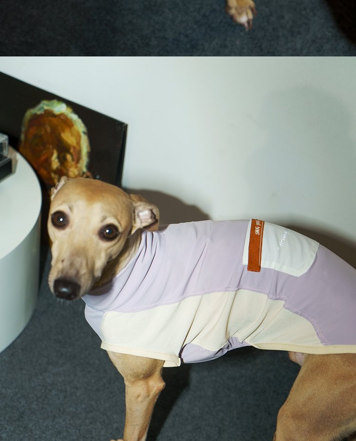 SnugHugs Stay Cool Vest 24