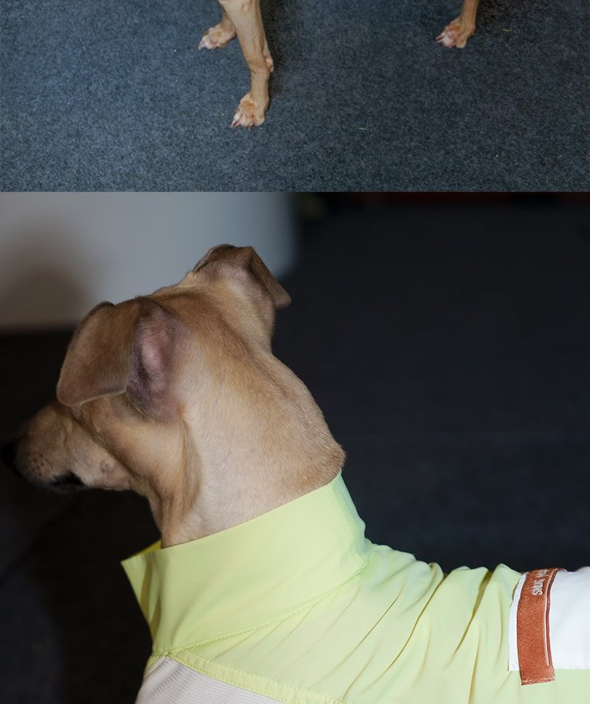 SnugHugs Stay Cool Vest 37