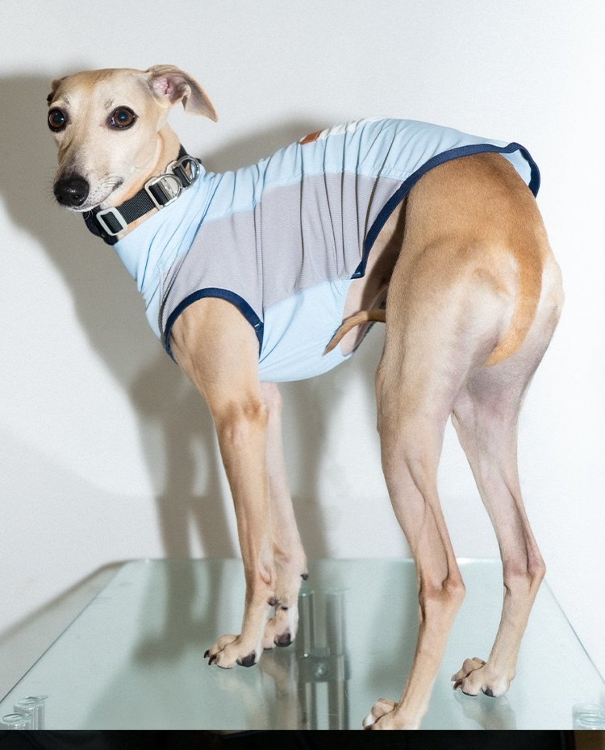 SnugHugs Stay Cool Vest 9