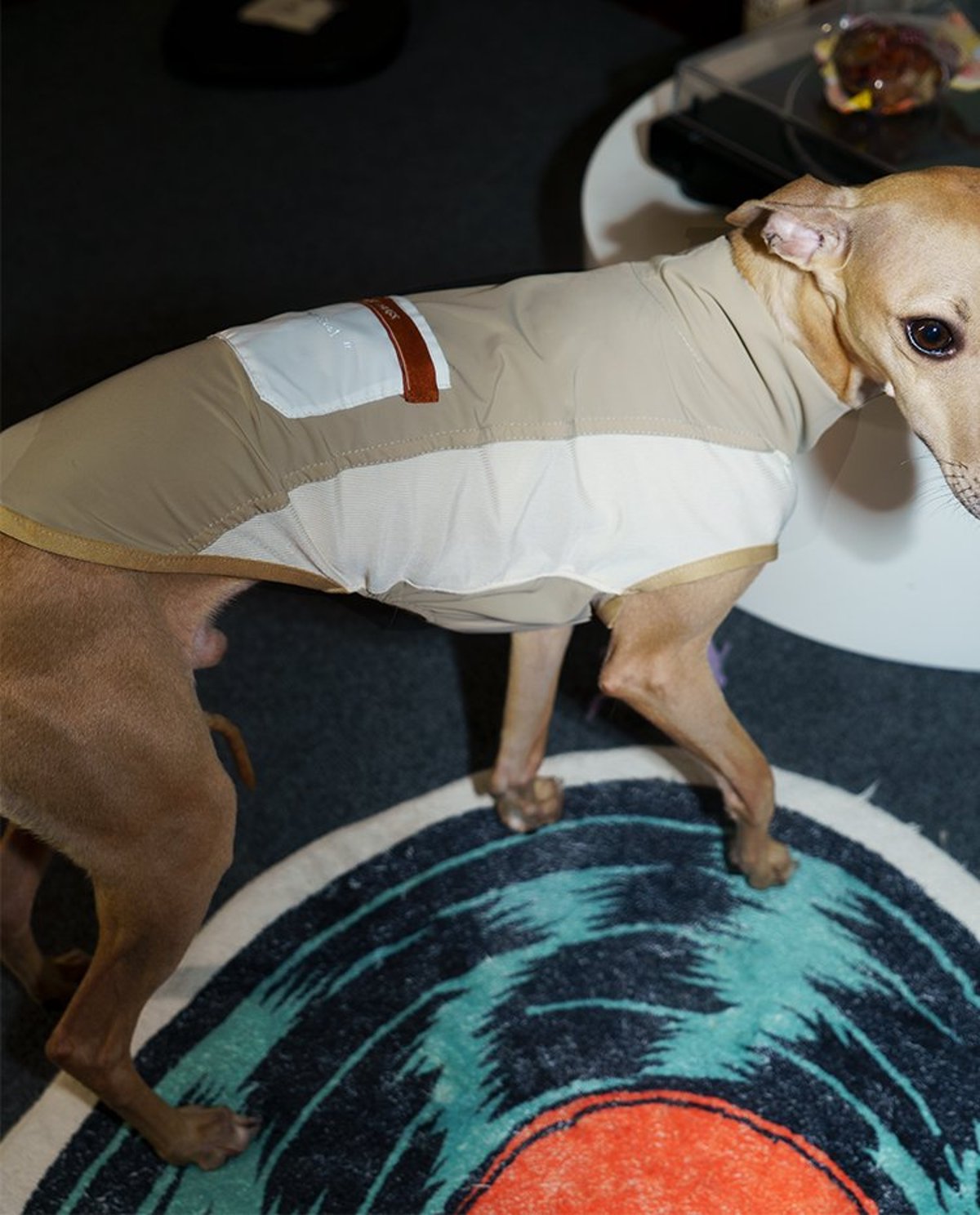 SnugHugs Stay Cool Vest 28